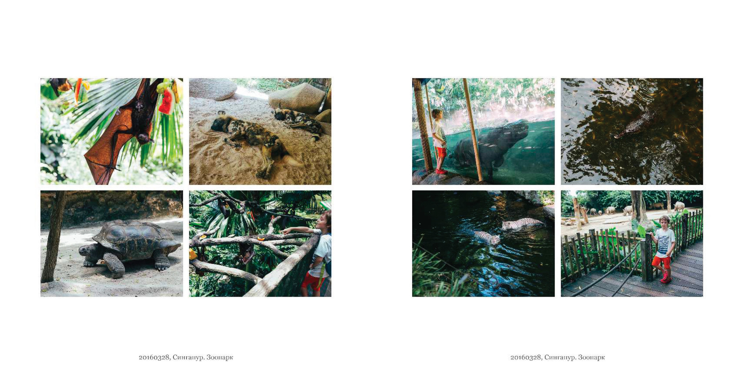 BEST FAMILY BOOK 2017