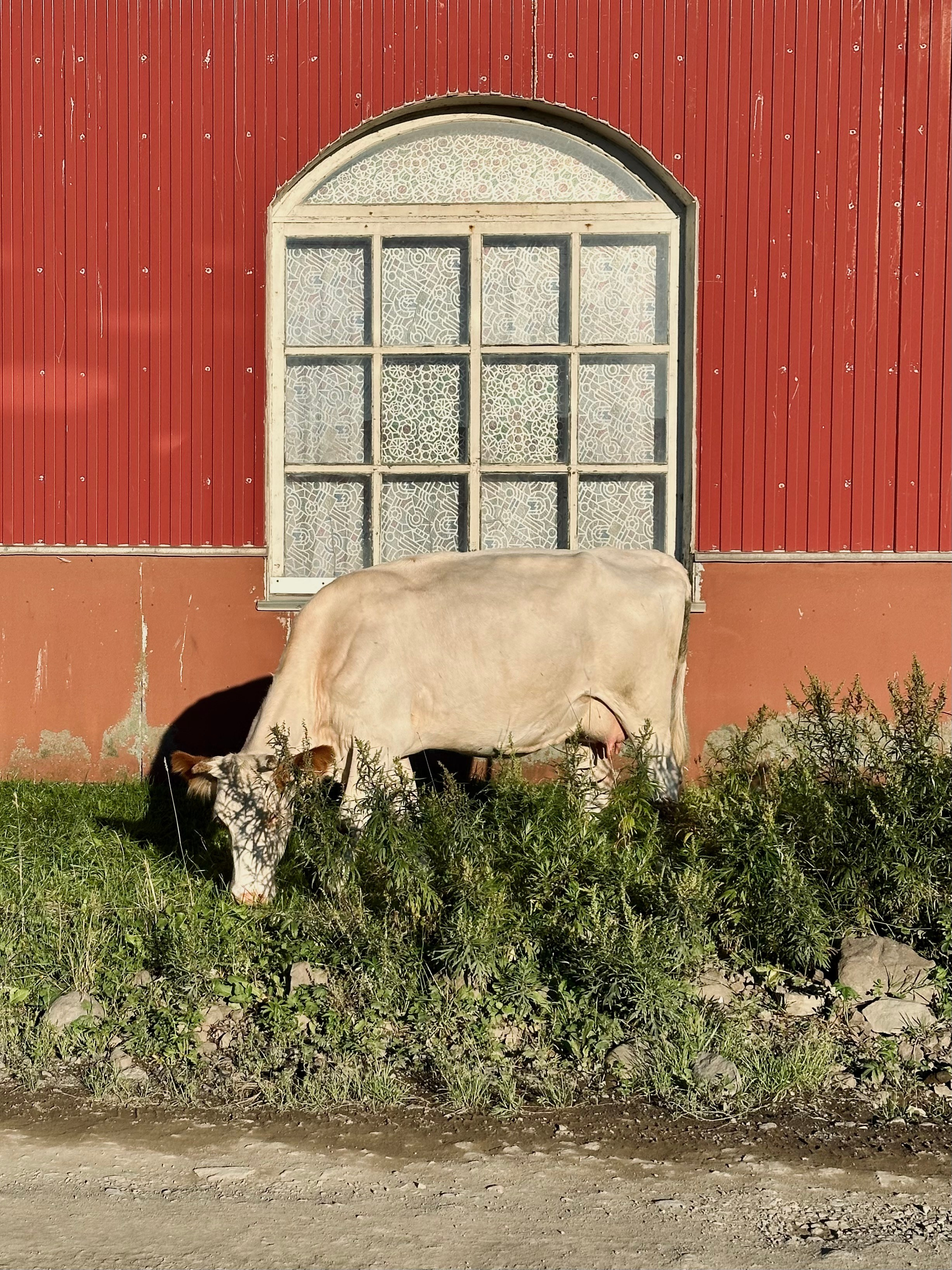EXHIBITION. Репортажный и интерьерный фотограф, фотохудожник
