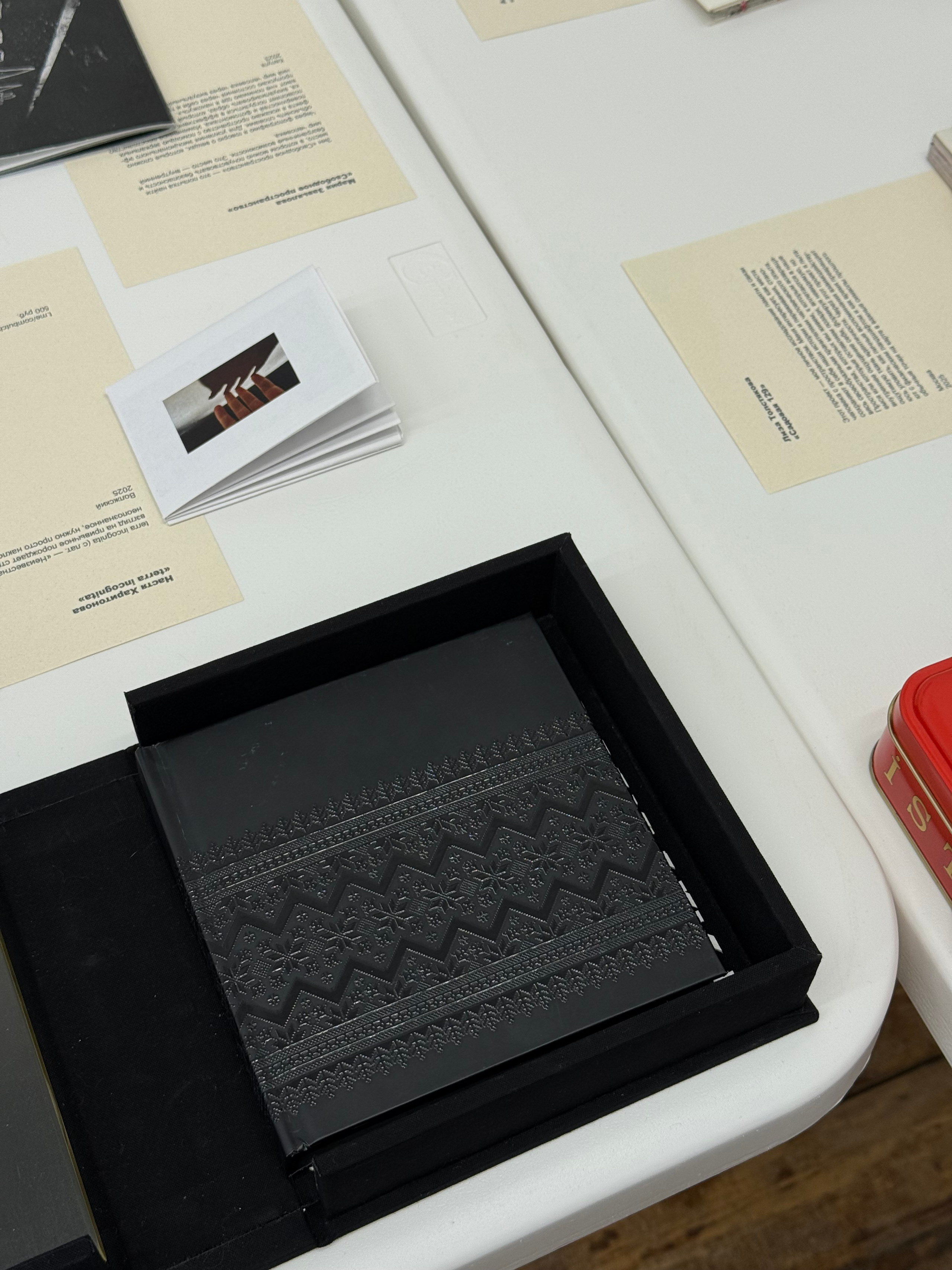 Жердёла 2025 Волгоград. Лера Круглова