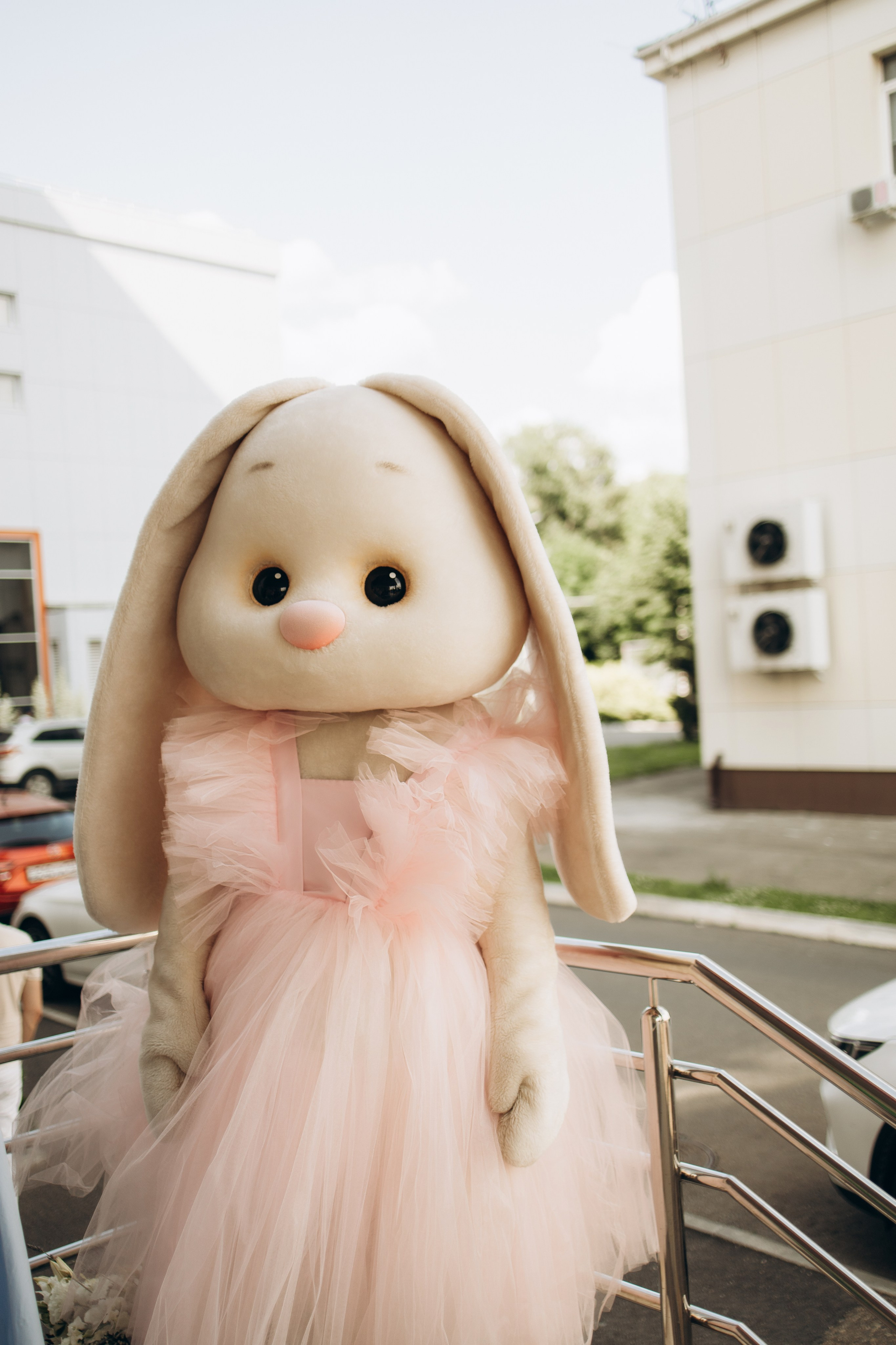 Выписка Виктории. Самый теплый фотограф в Краснодаре Рябоконь Ксения