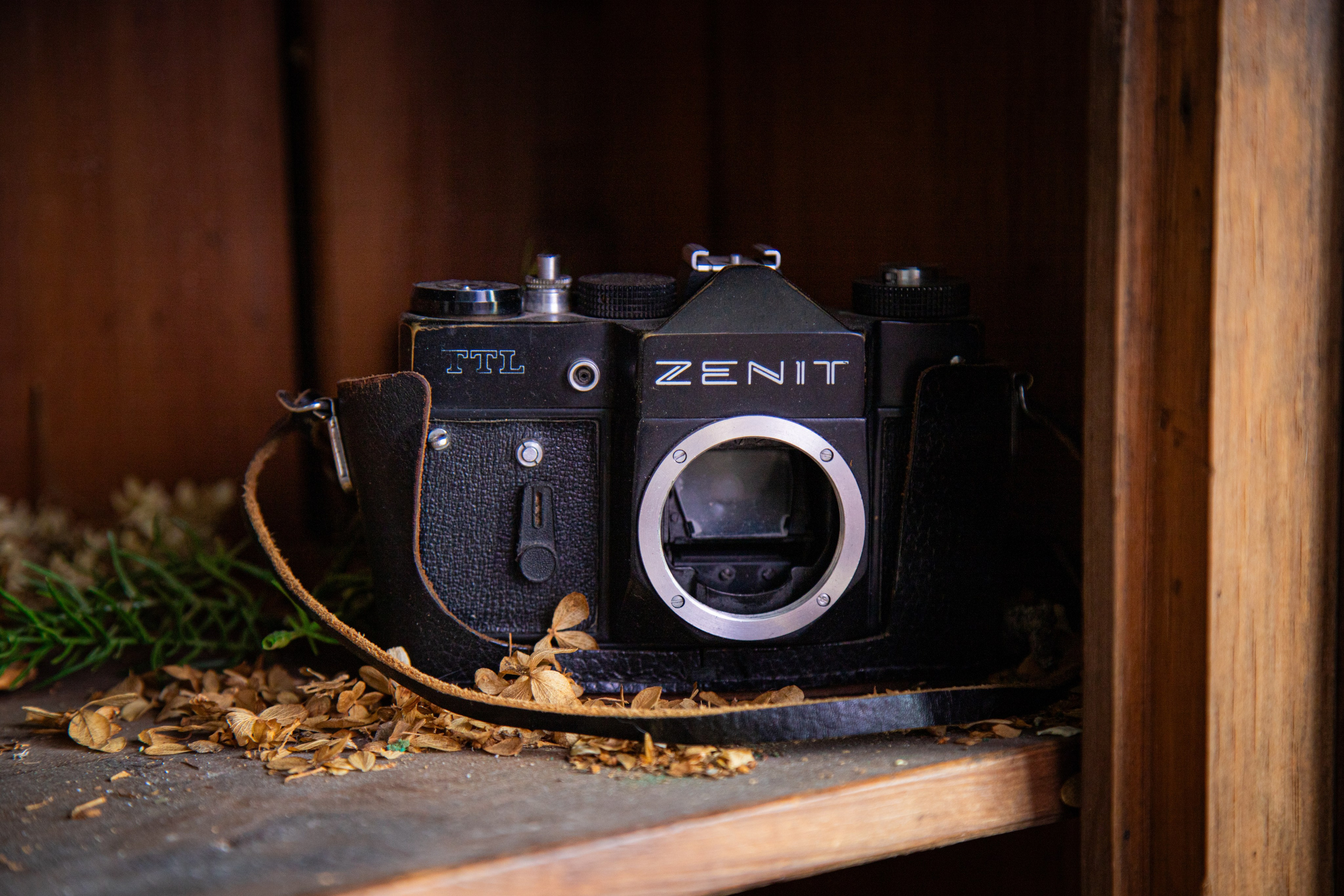 Степан. Фотограф в Перми Любовь Огородова | Авторские туры