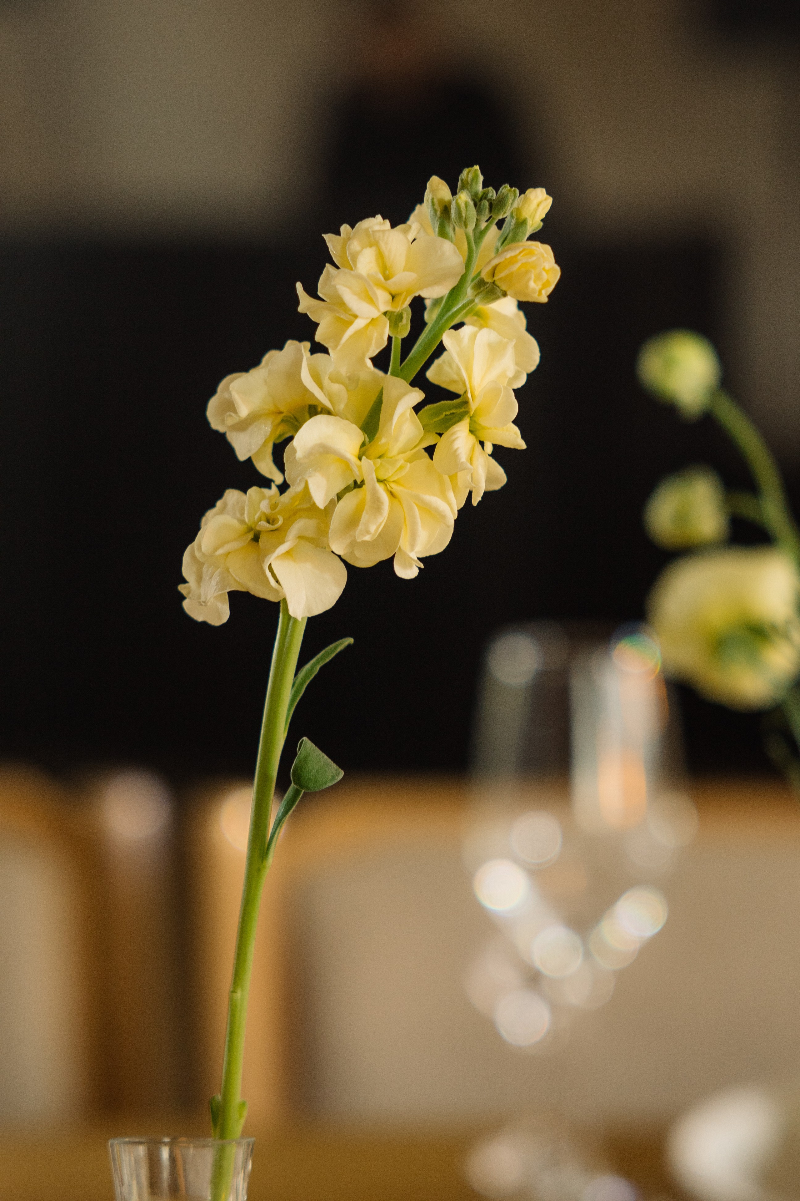 Сергей и Нина. Фотограф Эдуарда Титанян