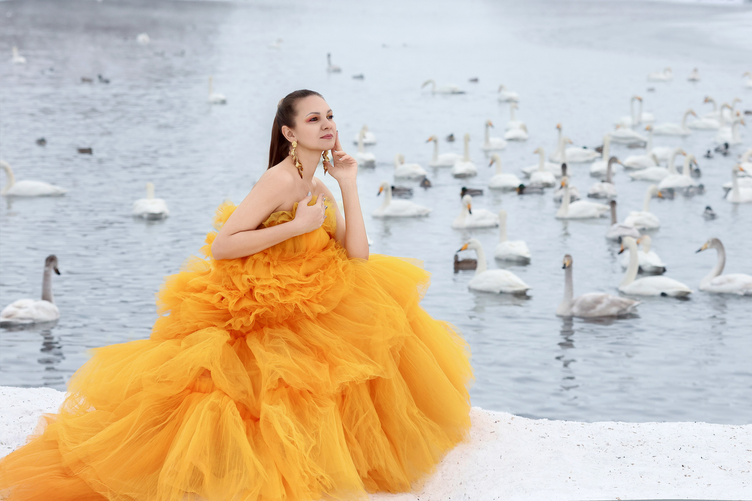 Лебединое озеро. Сказочный фотограф фотопроекты фототуры в Новосибирске и на Алтае