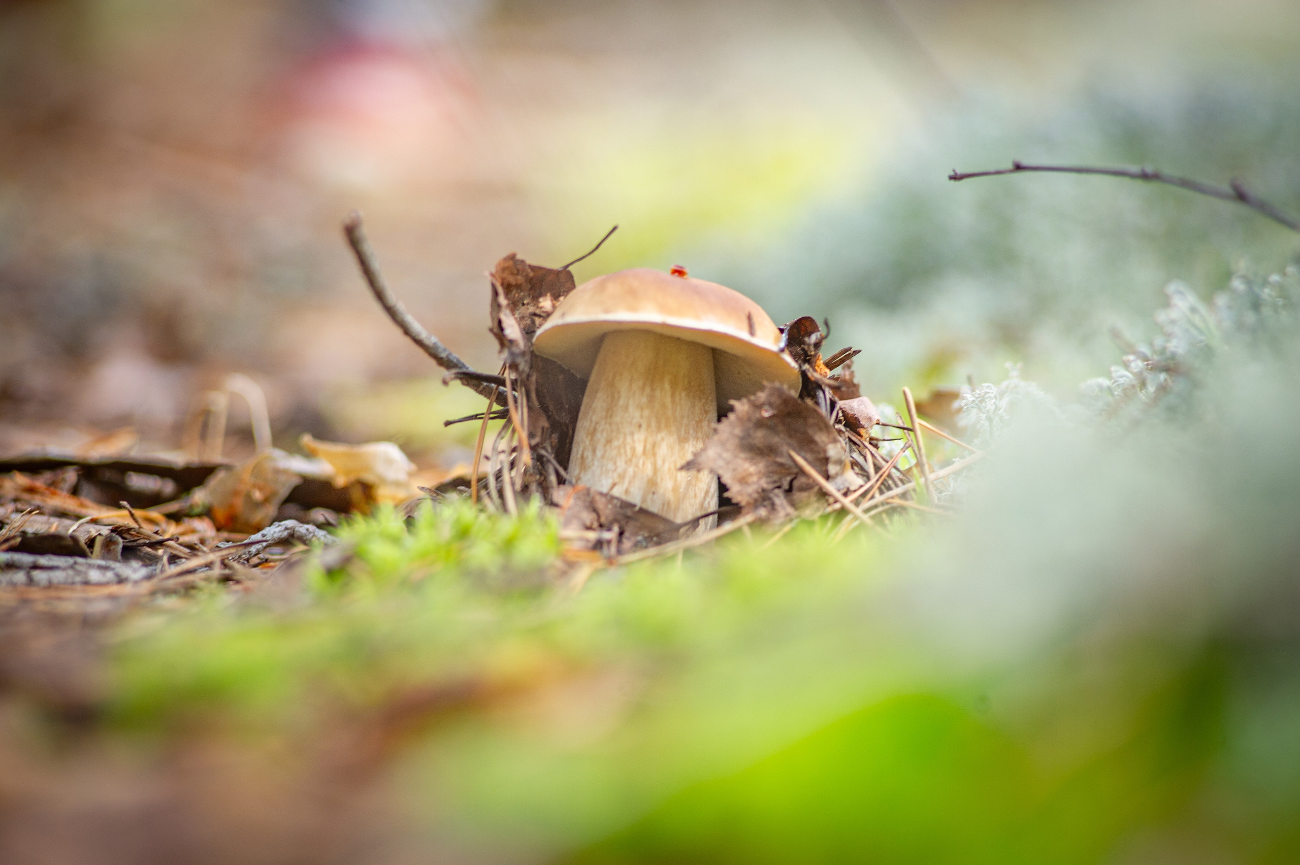 Природа. Фотограф Шариков Илья