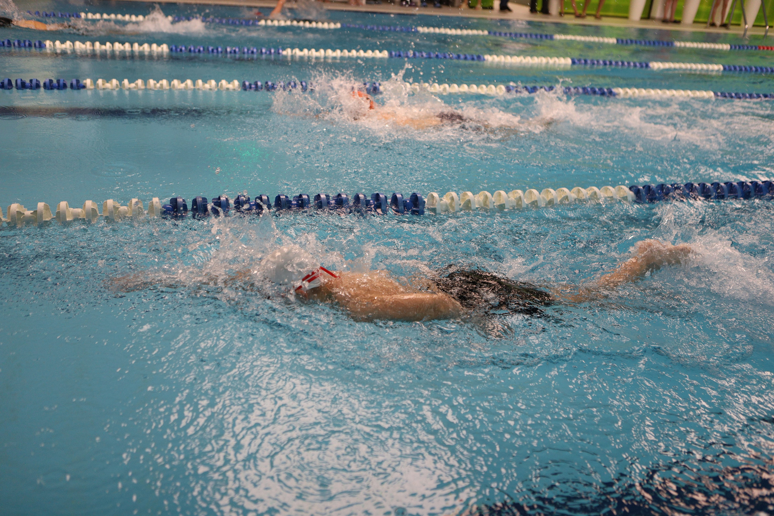 Соревнования по плаванию. Фотограф Москва — Сергеева Анастасия