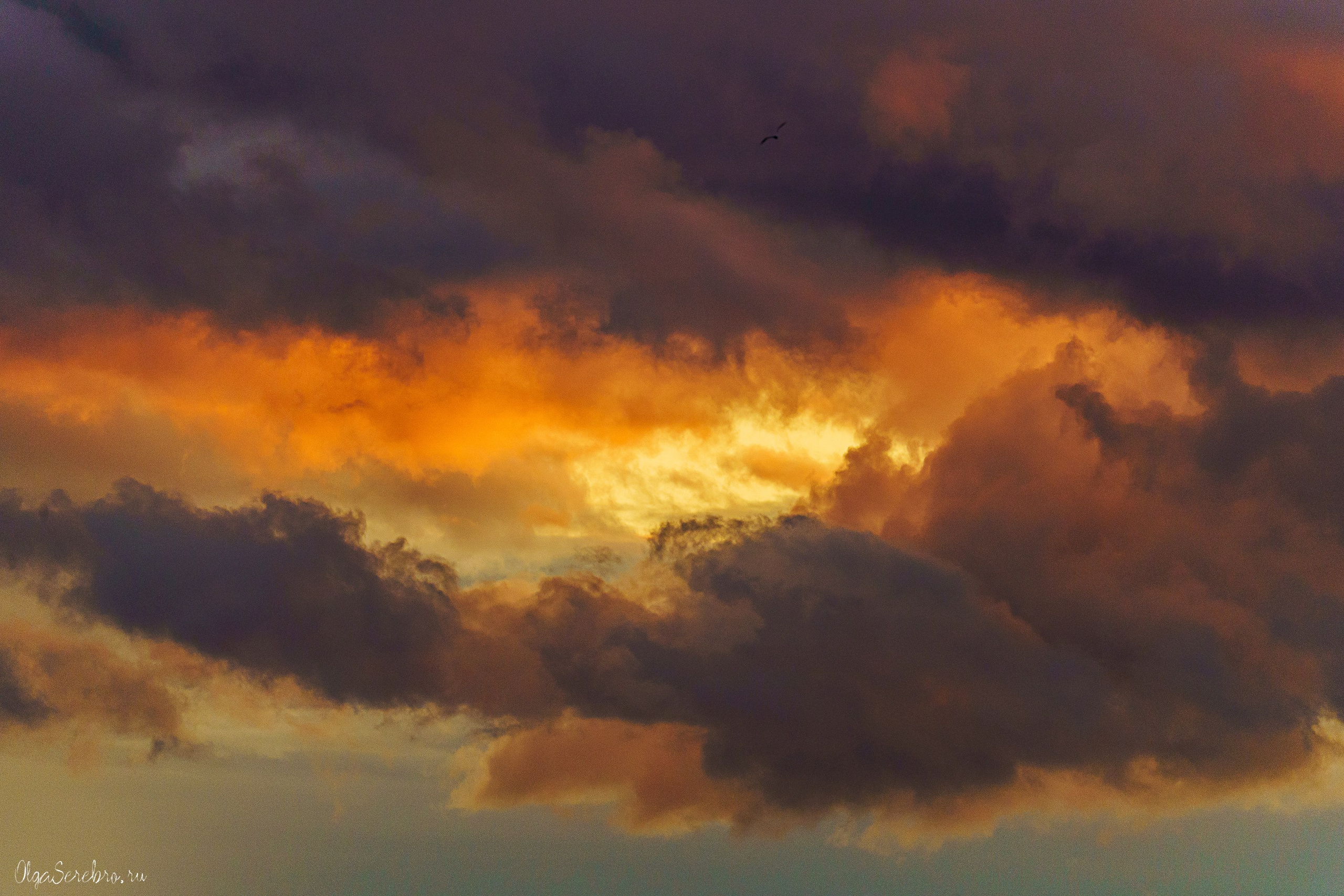 Нутро заката. Фотограф Челябинск · Ольга Серебрякова