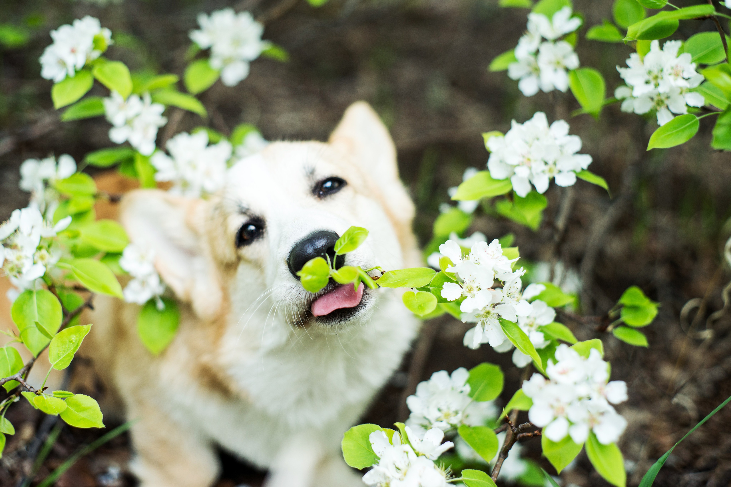 Фотограф Челябинск · Ольга Серебрякова