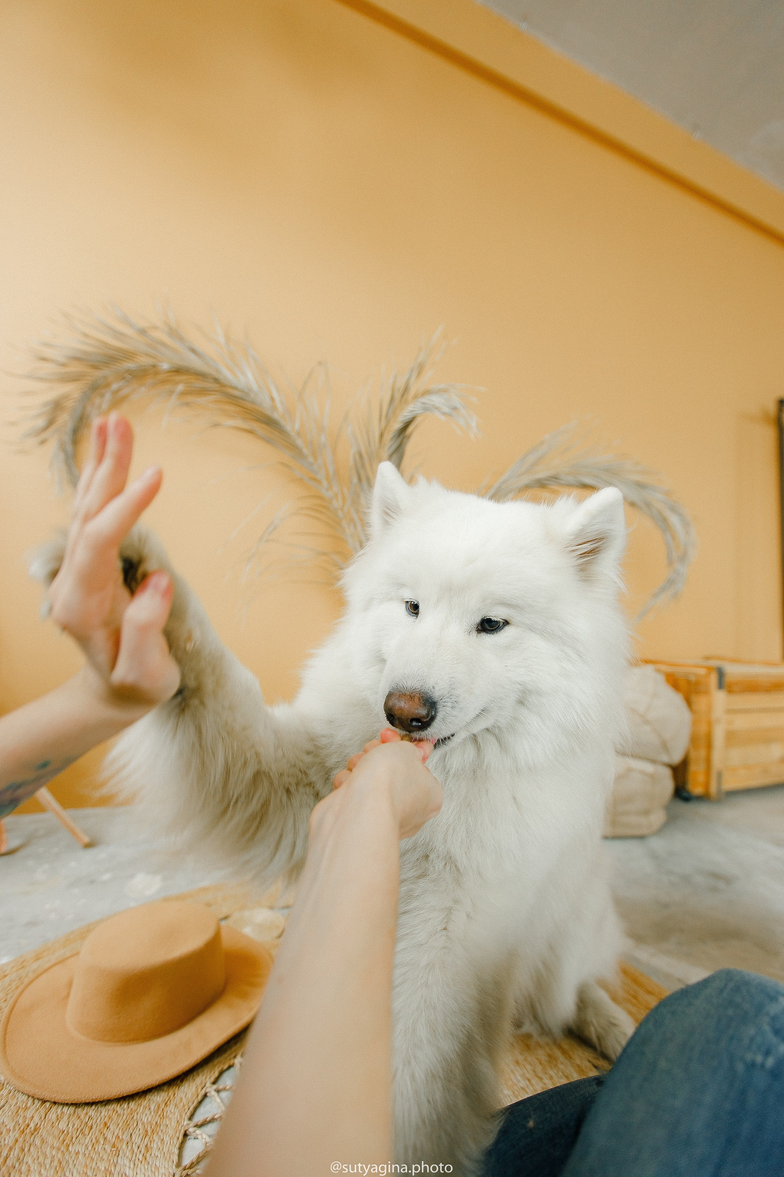 Самоед Мартин. Свадебный и женский фотограф