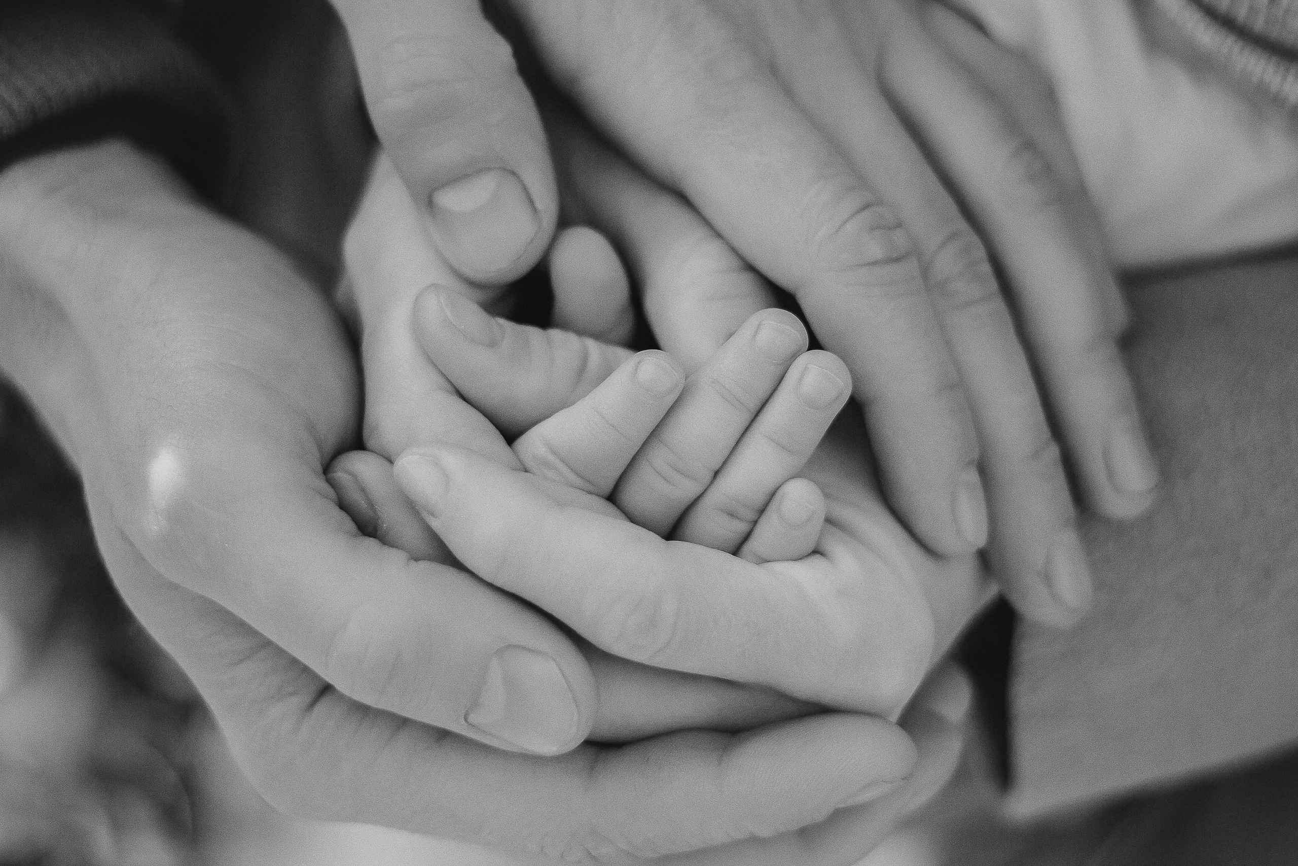 Осенняя прогулка в Лагерном саду. Семейный фотограф в Томске Максимова Екатерина