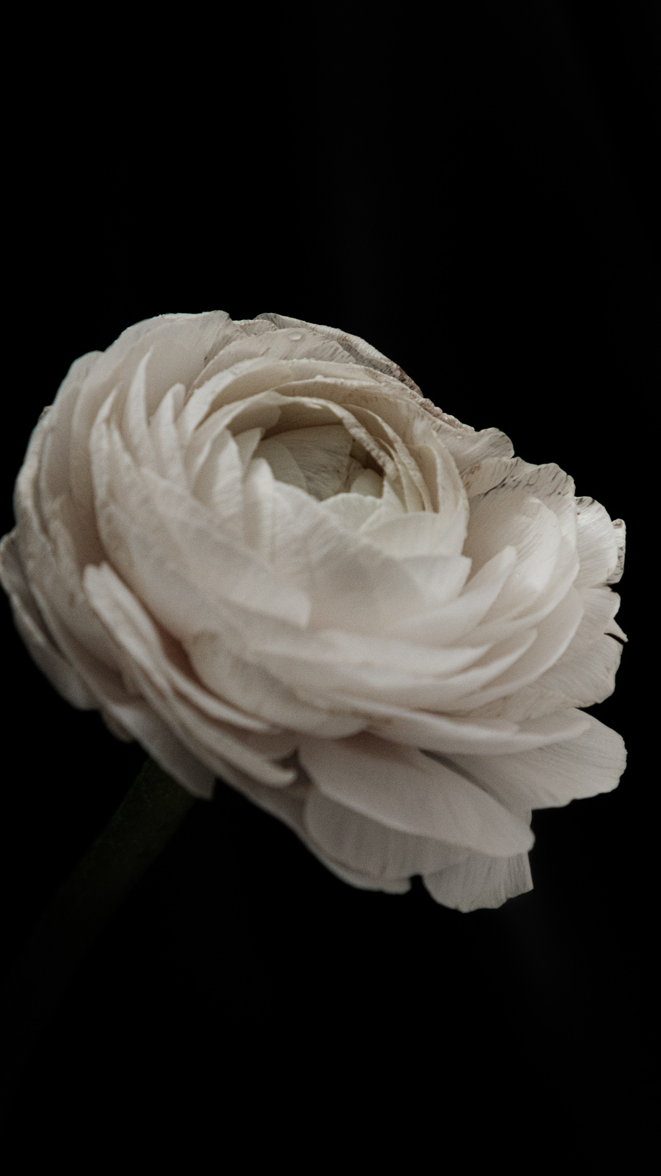 ФОТОГРАФ ХОХЛОВА ИРИНА | МАГАДАН