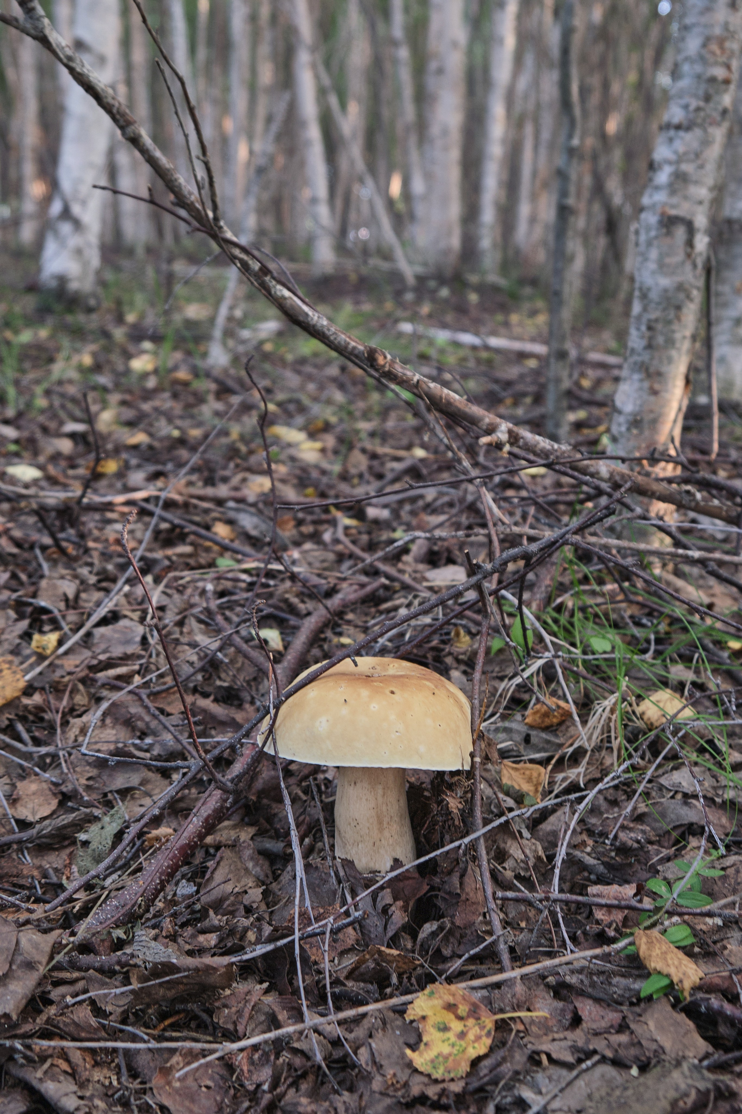 Байкал. Предметный фотограф в Краснодаре