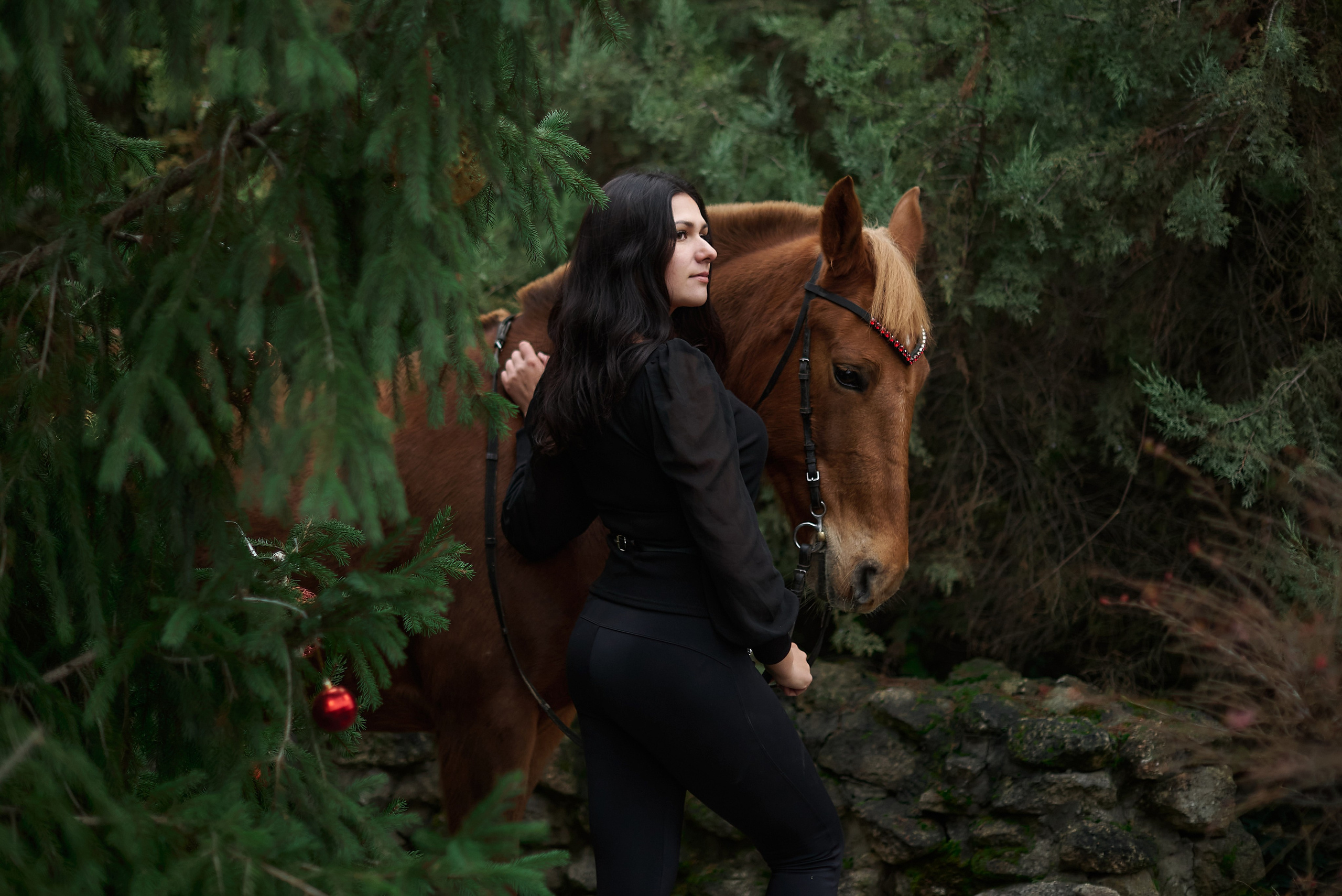 Диана, Гром и Мандаринка. Фотограф в Севастополе