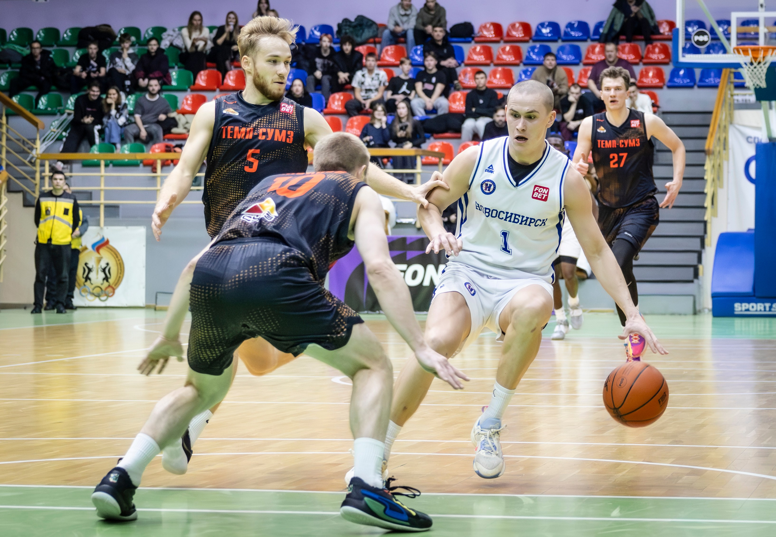 БК Новосибирск. Bertran Ordo
