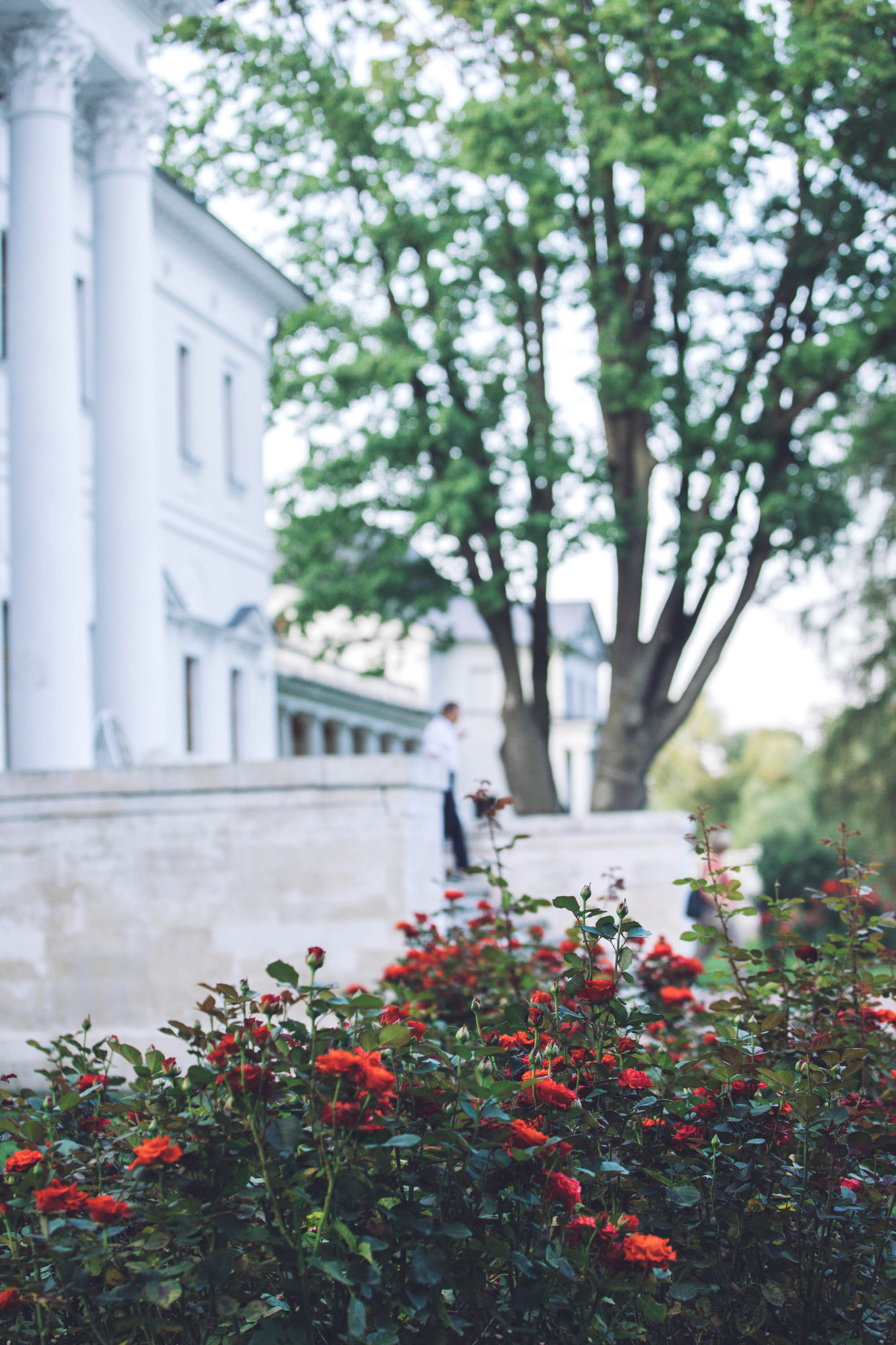 Екатерина в Остафьево. Фотограф — художник в Москве Васильева Юлия