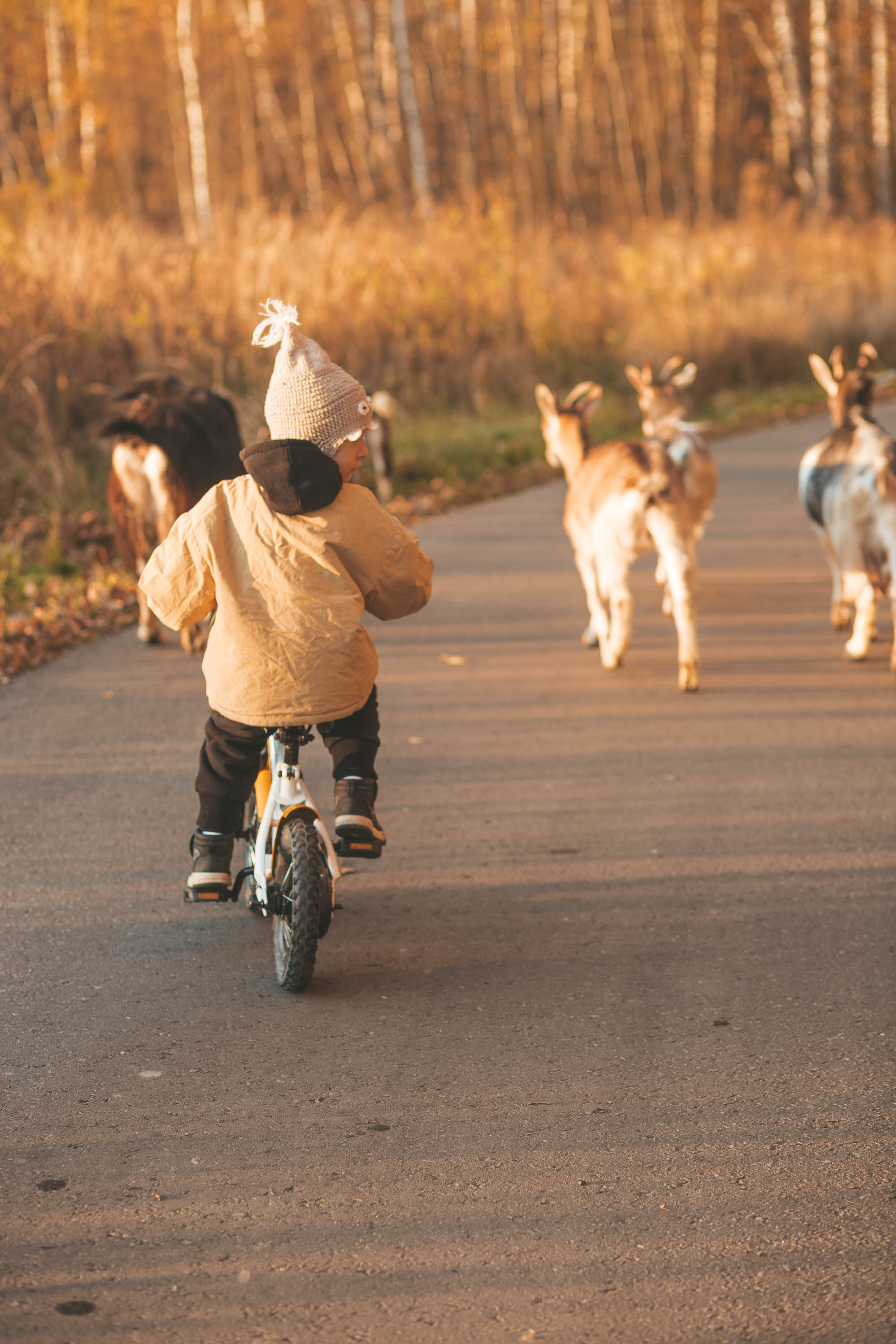 Прогулка по деревне. Фотограф — художник в Москве Васильева Юлия
