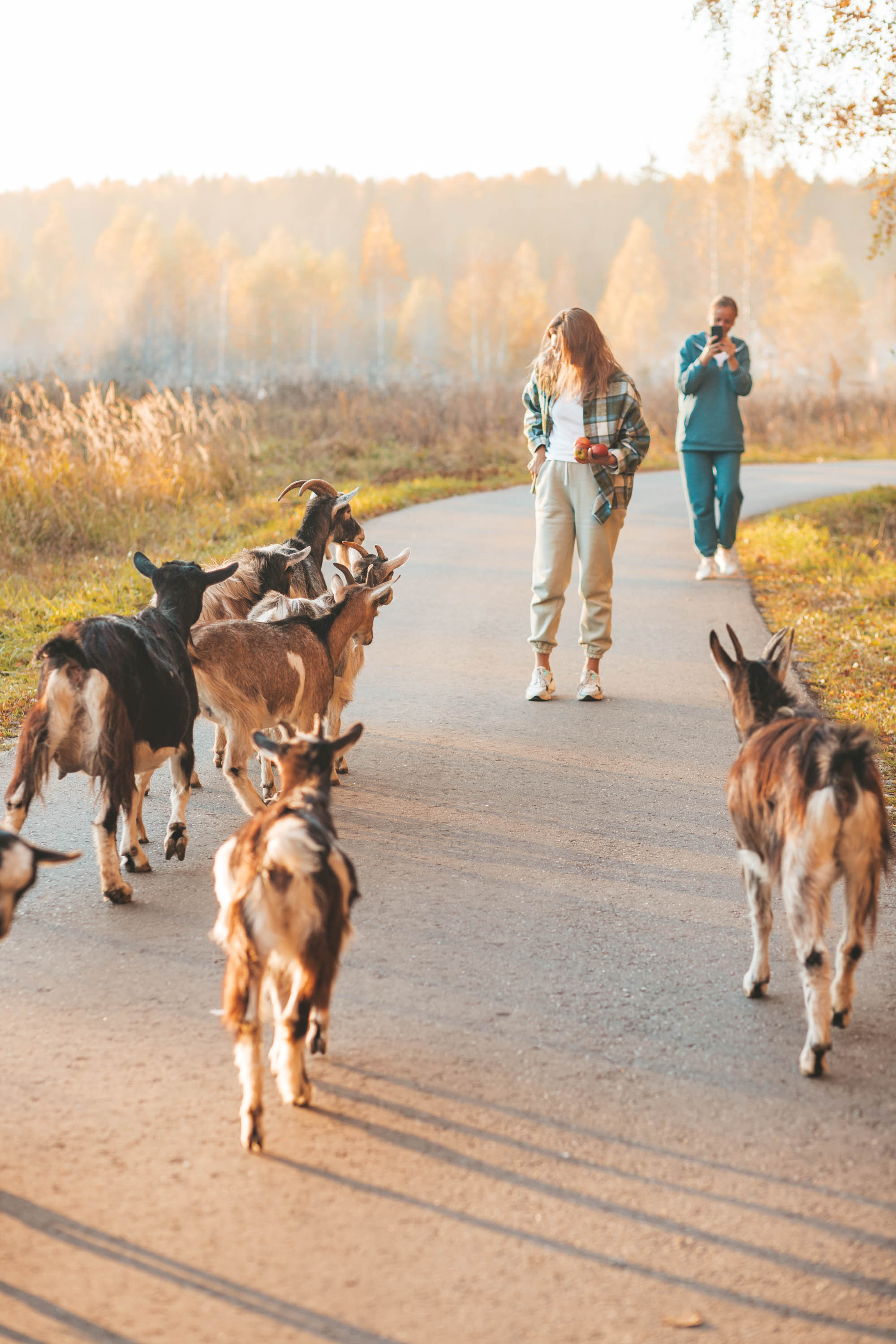 Прогулка по деревне. Фотограф — художник в Москве Васильева Юлия