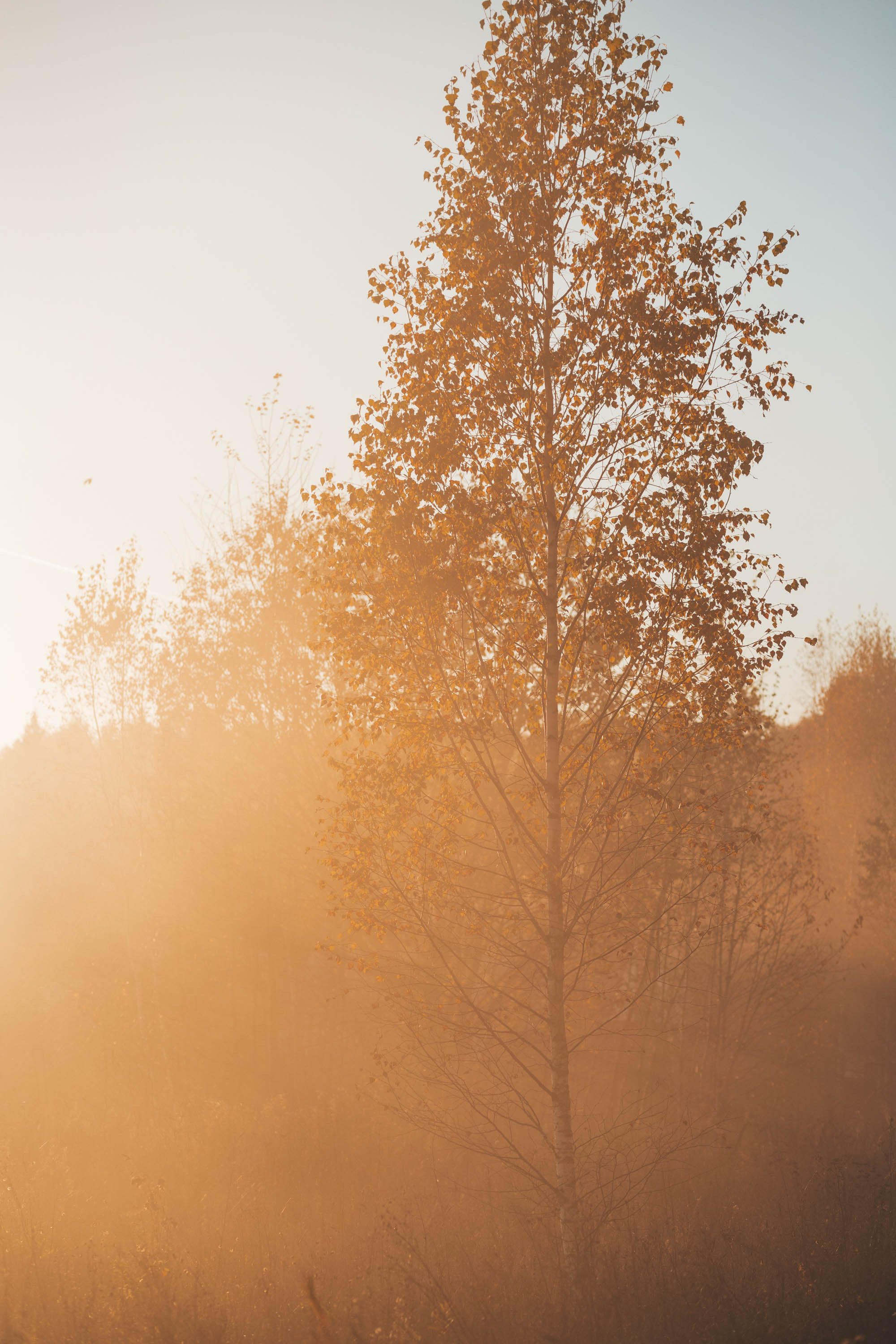 Прогулка по деревне. Фотограф — художник в Москве Васильева Юлия