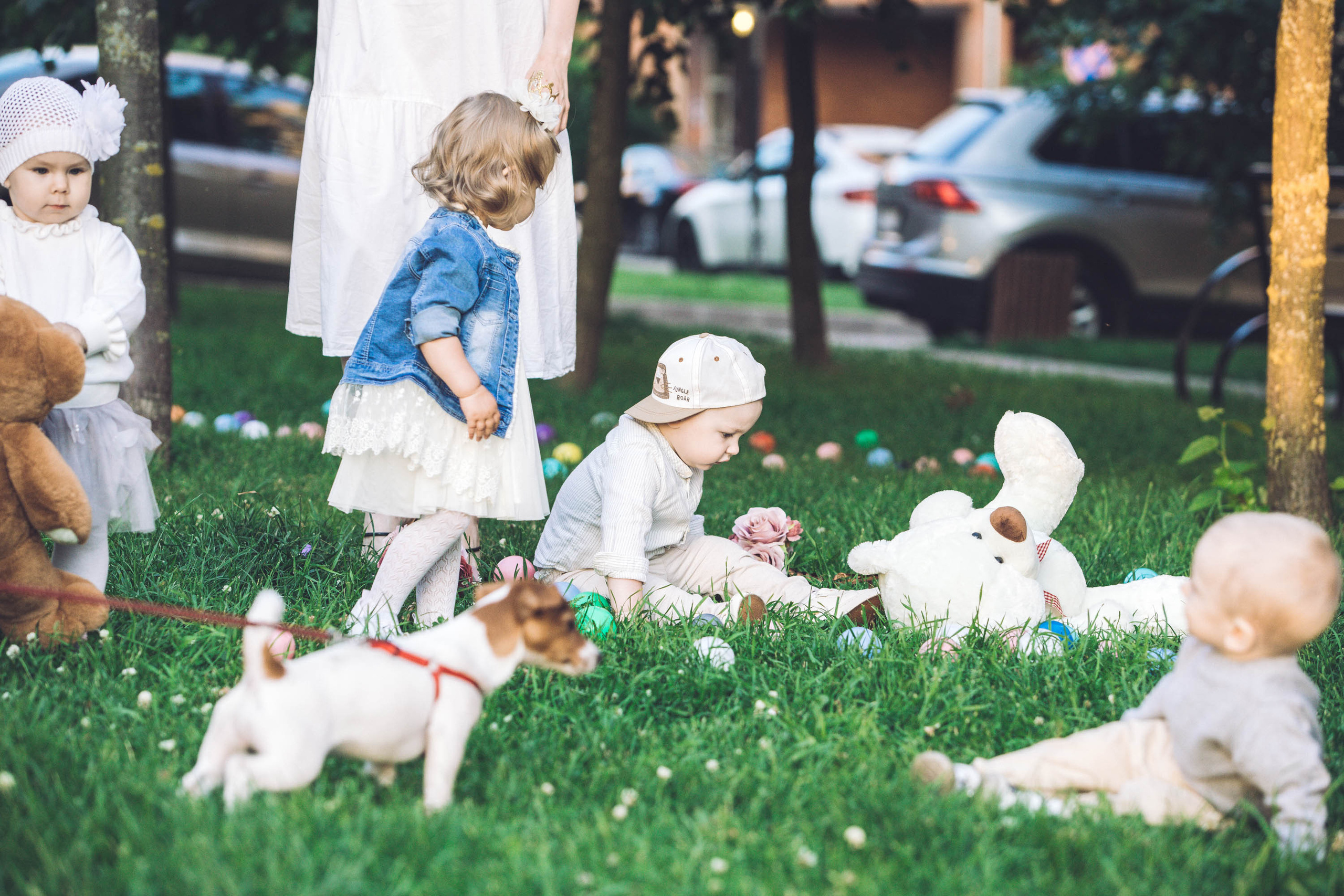 Малыши (первое знакомство). Фотограф — художник в Москве Васильева Юлия