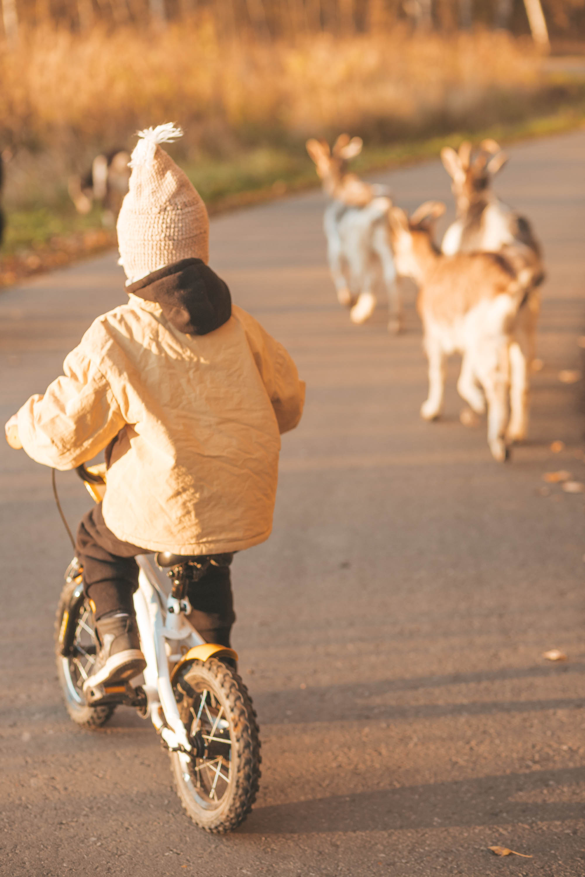 Прогулка по деревне. Фотограф — художник в Москве Васильева Юлия