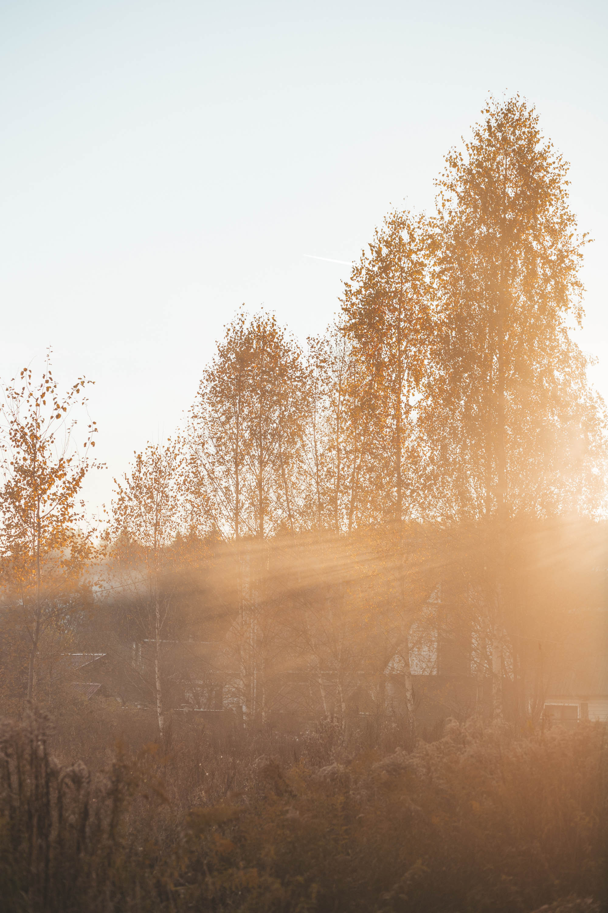 Прогулка по деревне. Фотограф — художник в Москве Васильева Юлия