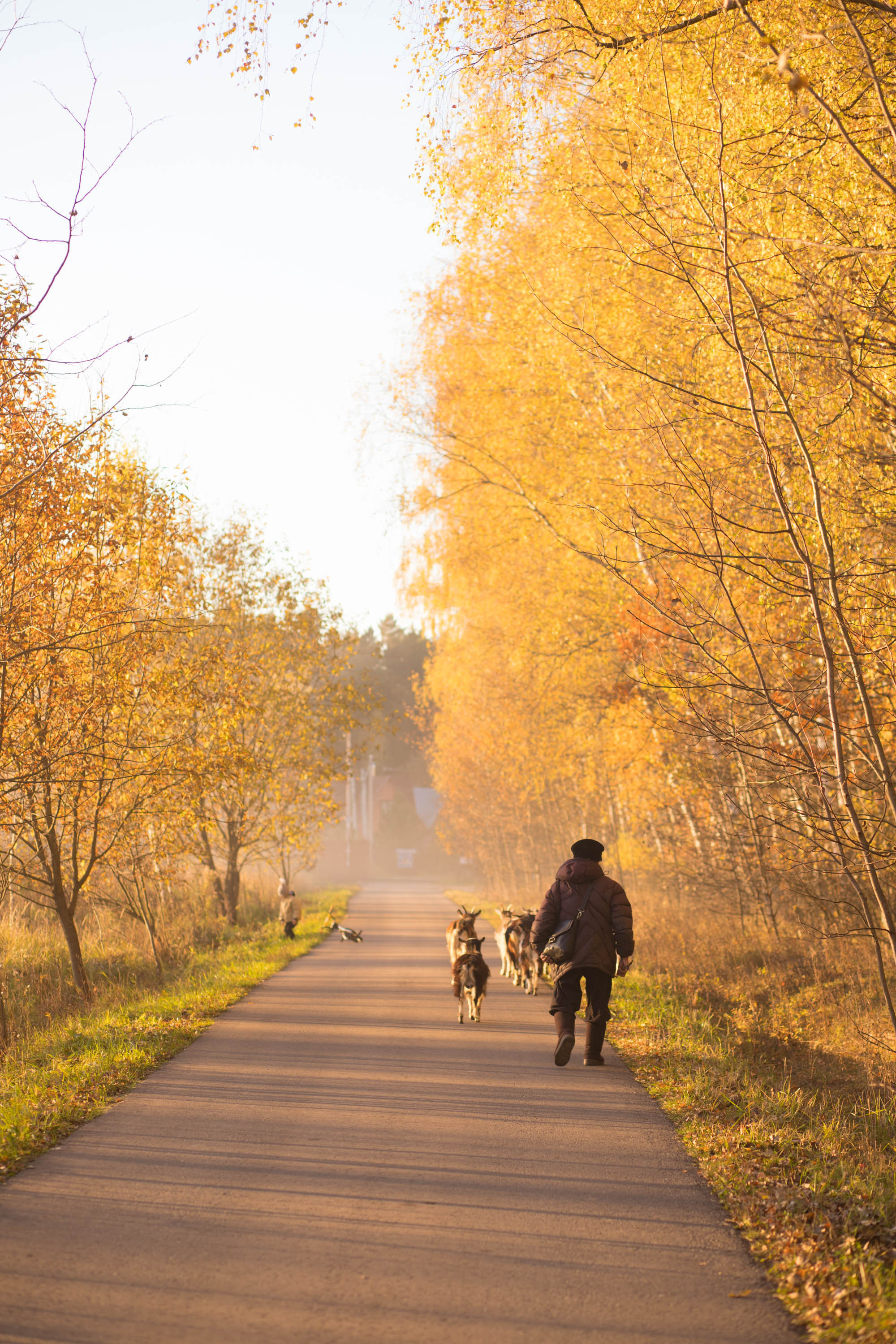 Прогулка по деревне. Фотограф — художник в Москве Васильева Юлия