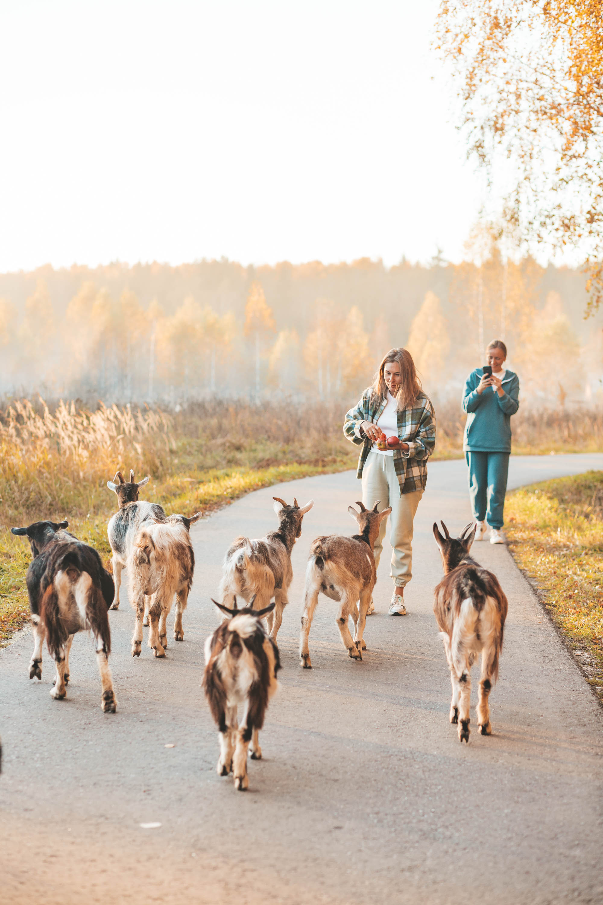 Прогулка по деревне. Фотограф — художник в Москве Васильева Юлия