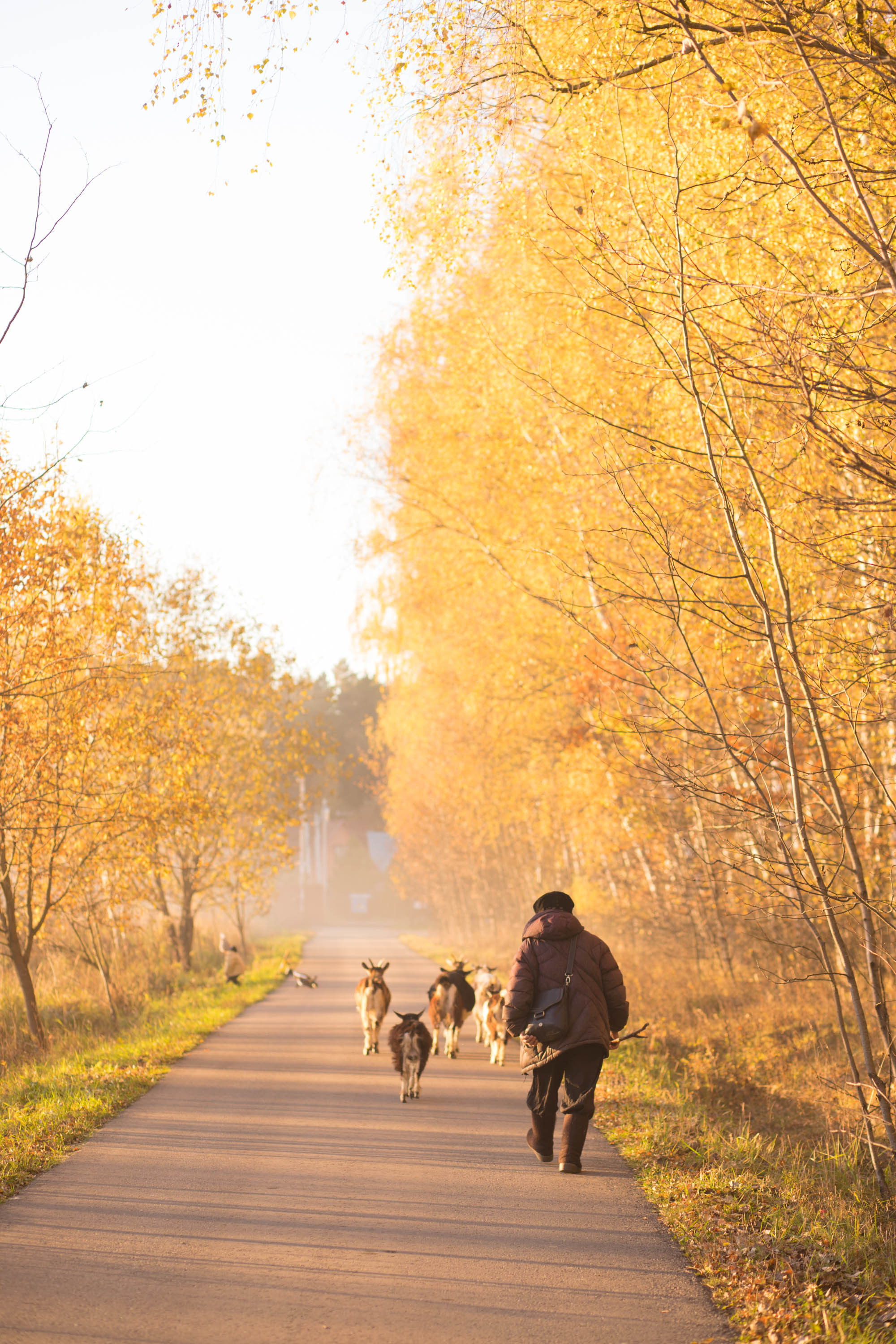 Прогулка по деревне. Фотограф — художник в Москве Васильева Юлия