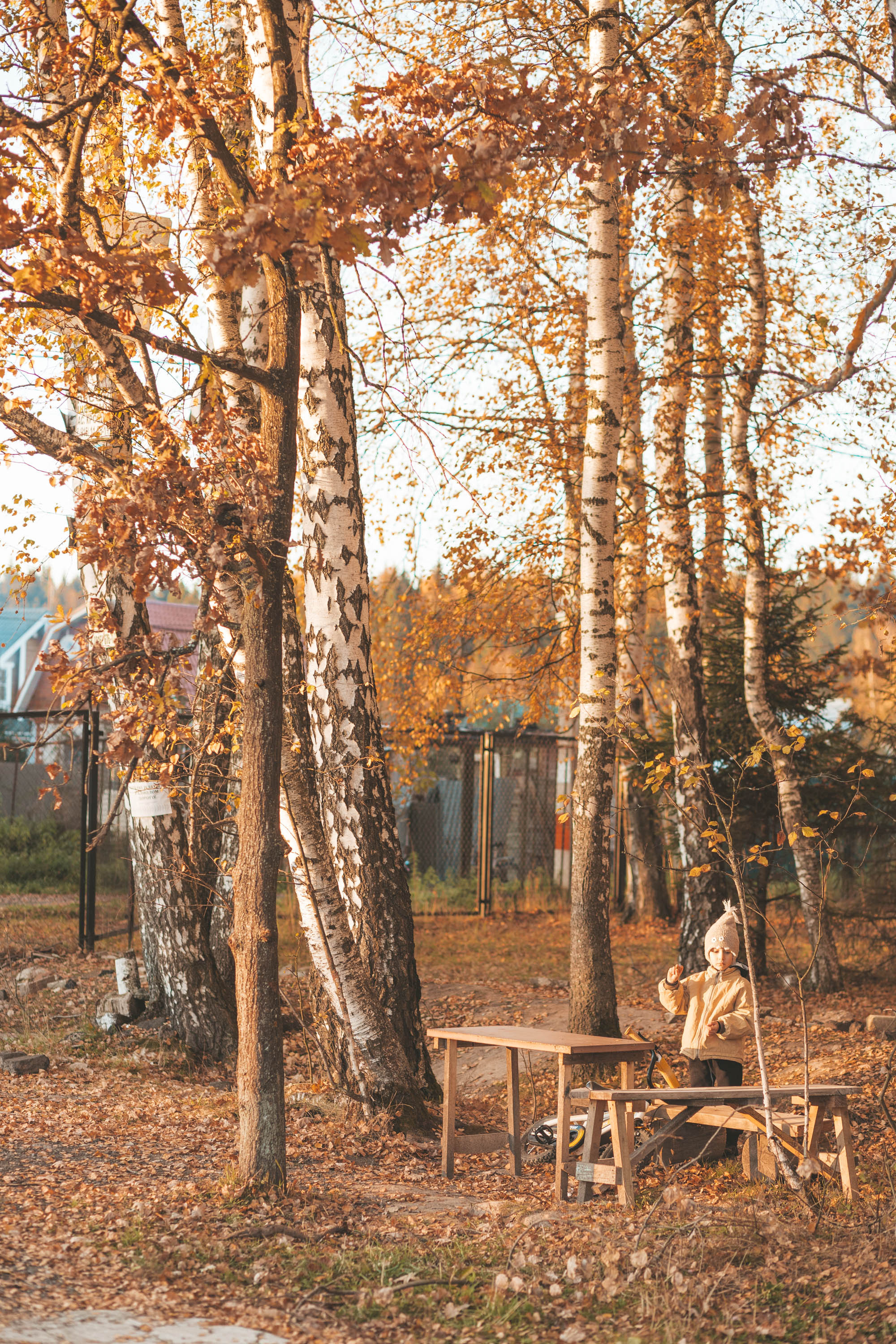 Прогулка по деревне. Фотограф — художник в Москве Васильева Юлия