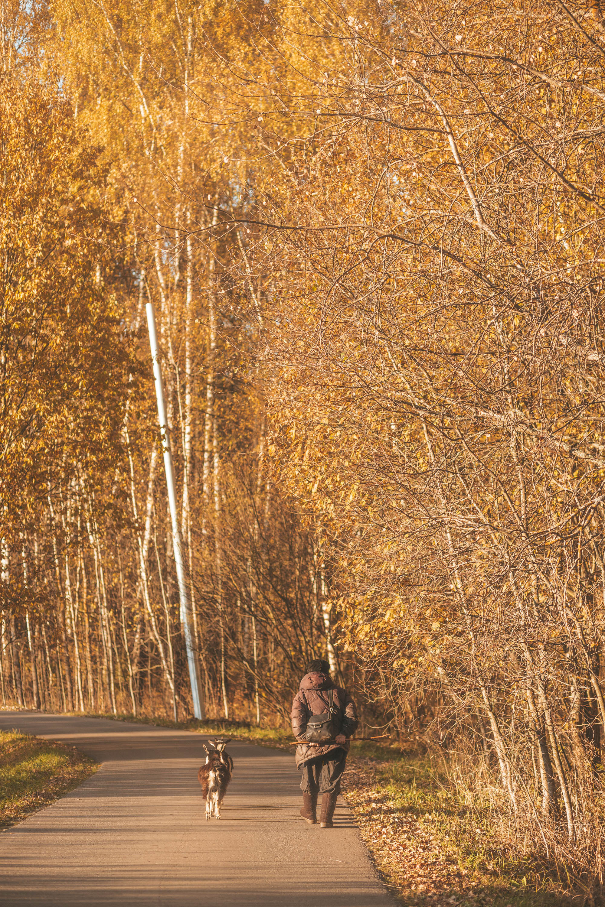 Прогулка по деревне. Фотограф — художник в Москве Васильева Юлия