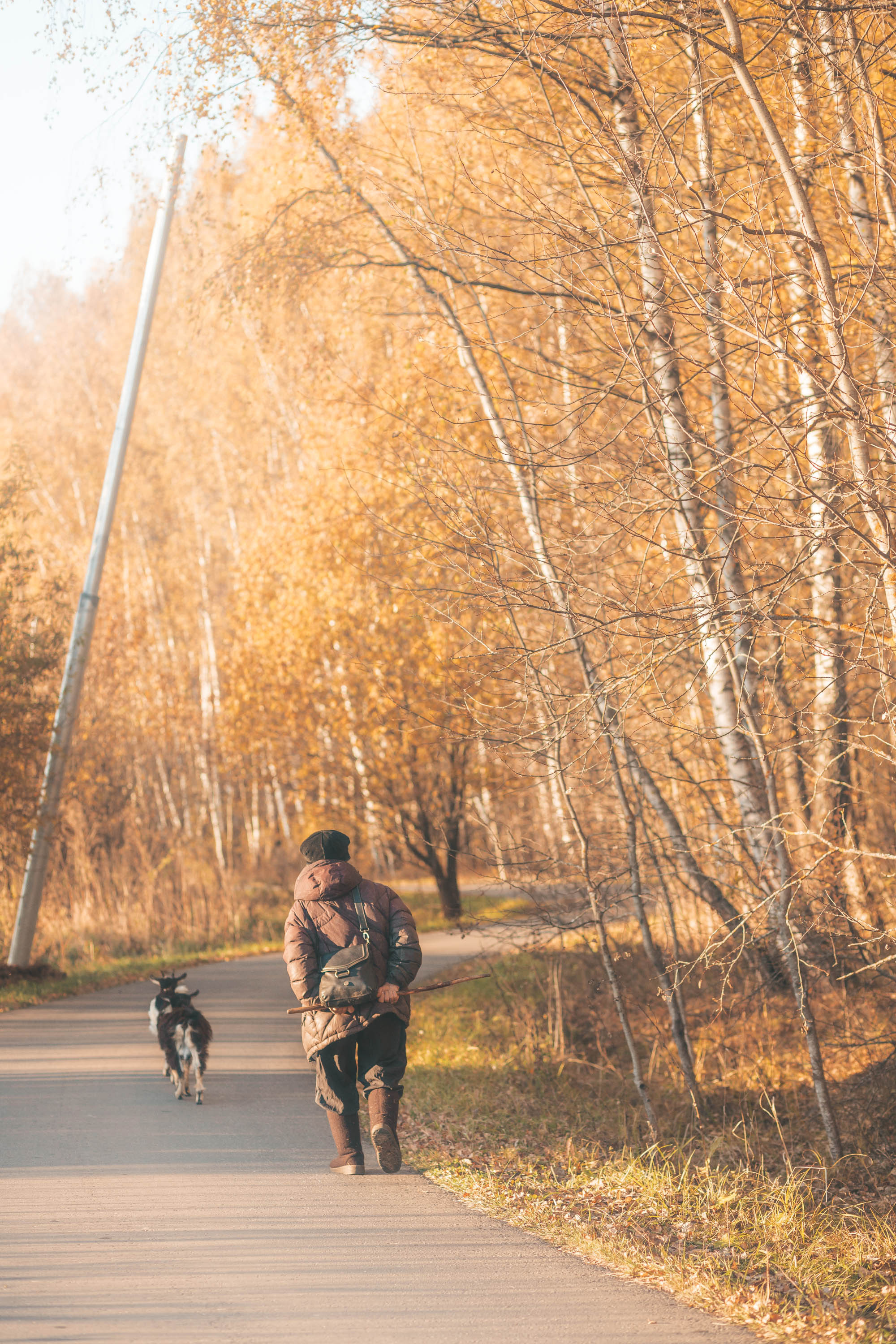 Прогулка по деревне. Фотограф — художник в Москве Васильева Юлия