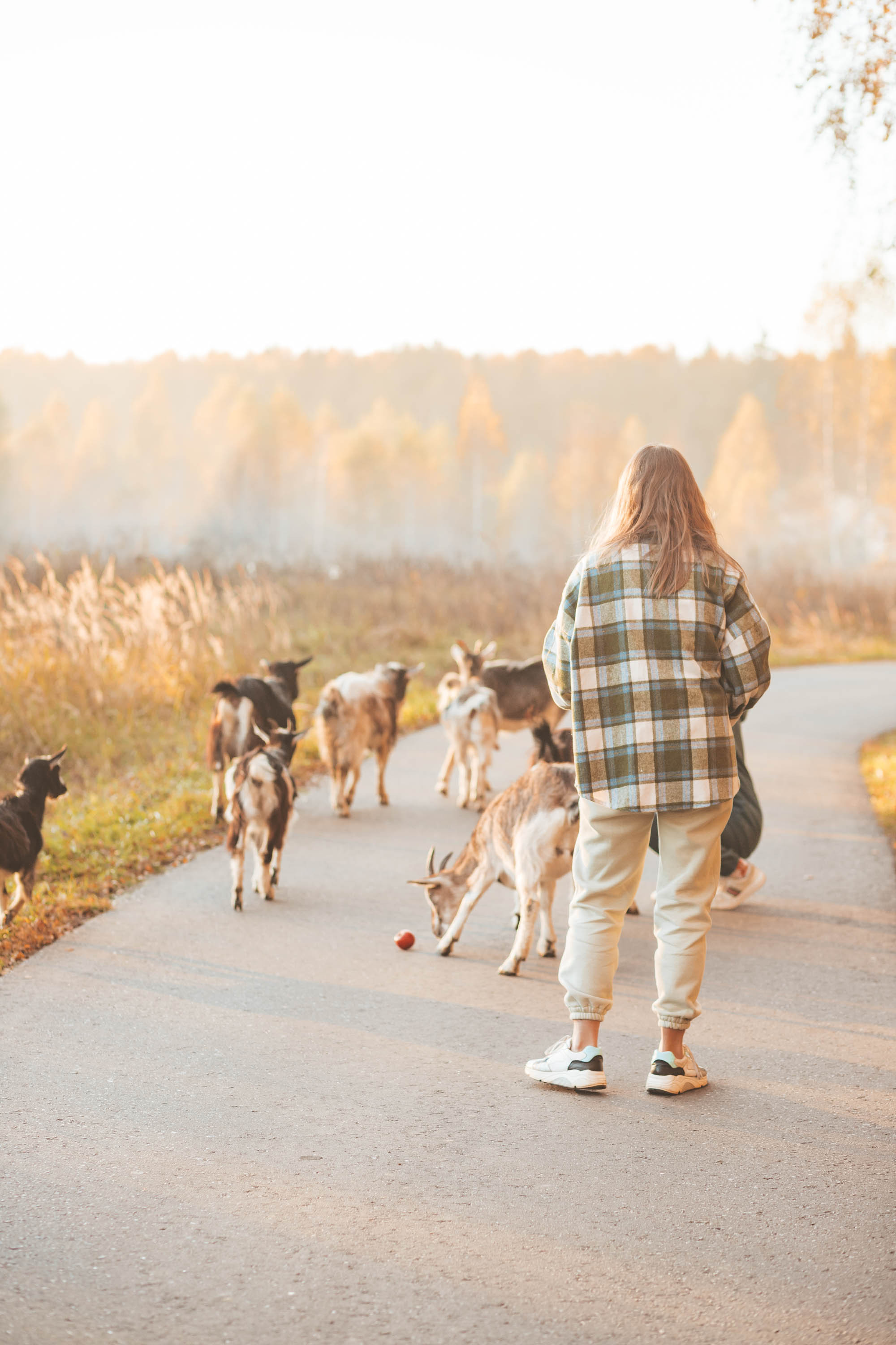 Прогулка по деревне. Фотограф — художник в Москве Васильева Юлия