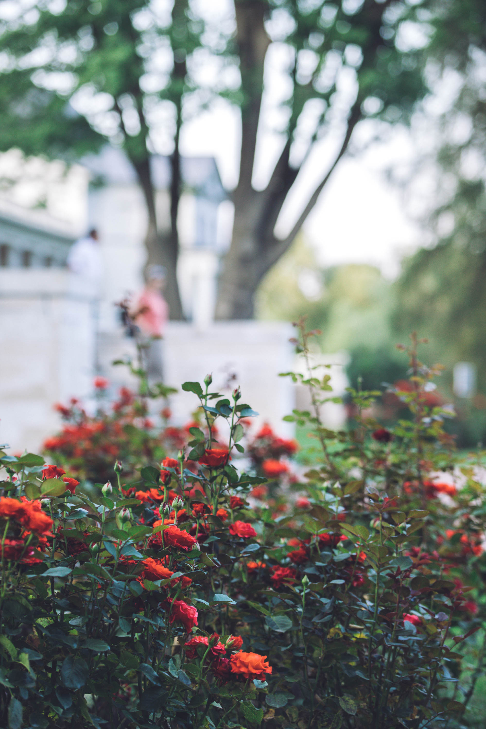 Екатерина в Остафьево. Фотограф — художник в Москве Васильева Юлия