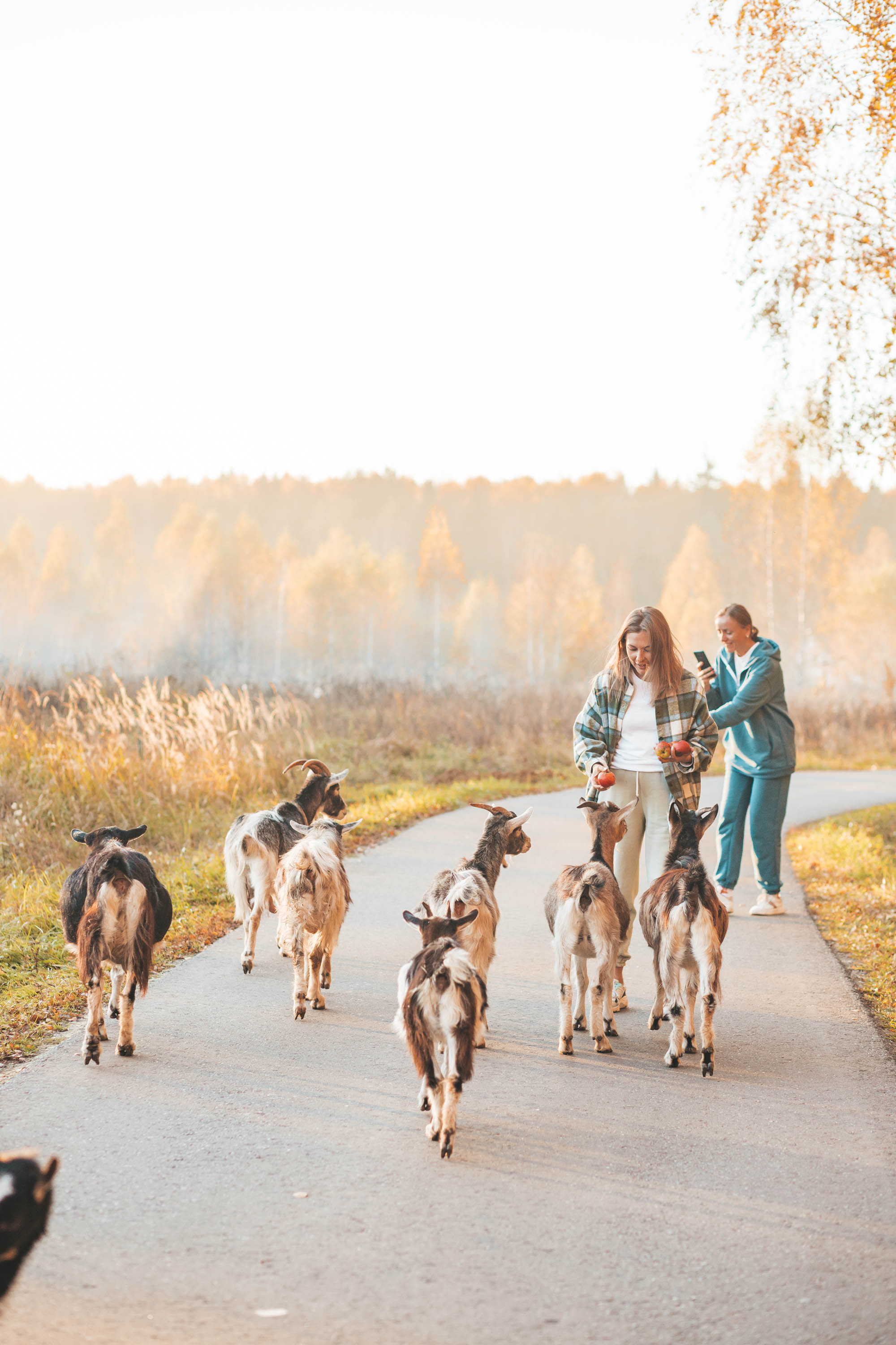 Прогулка по деревне. Фотограф — художник в Москве Васильева Юлия