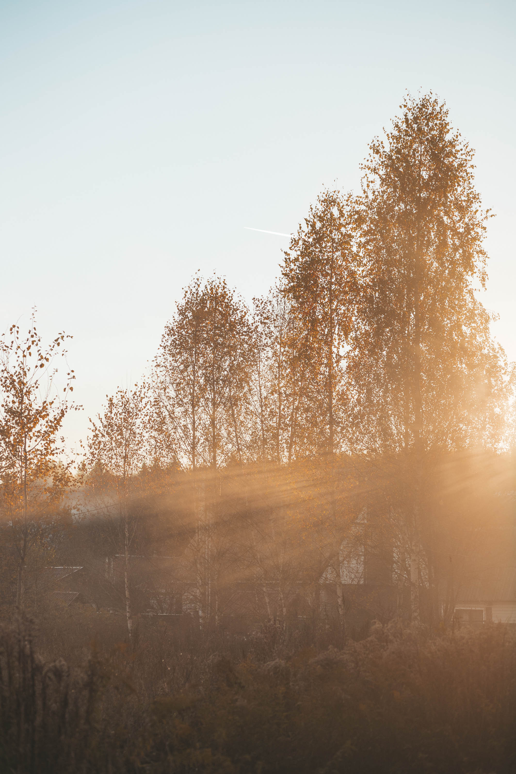 Прогулка по деревне. Фотограф — художник в Москве Васильева Юлия
