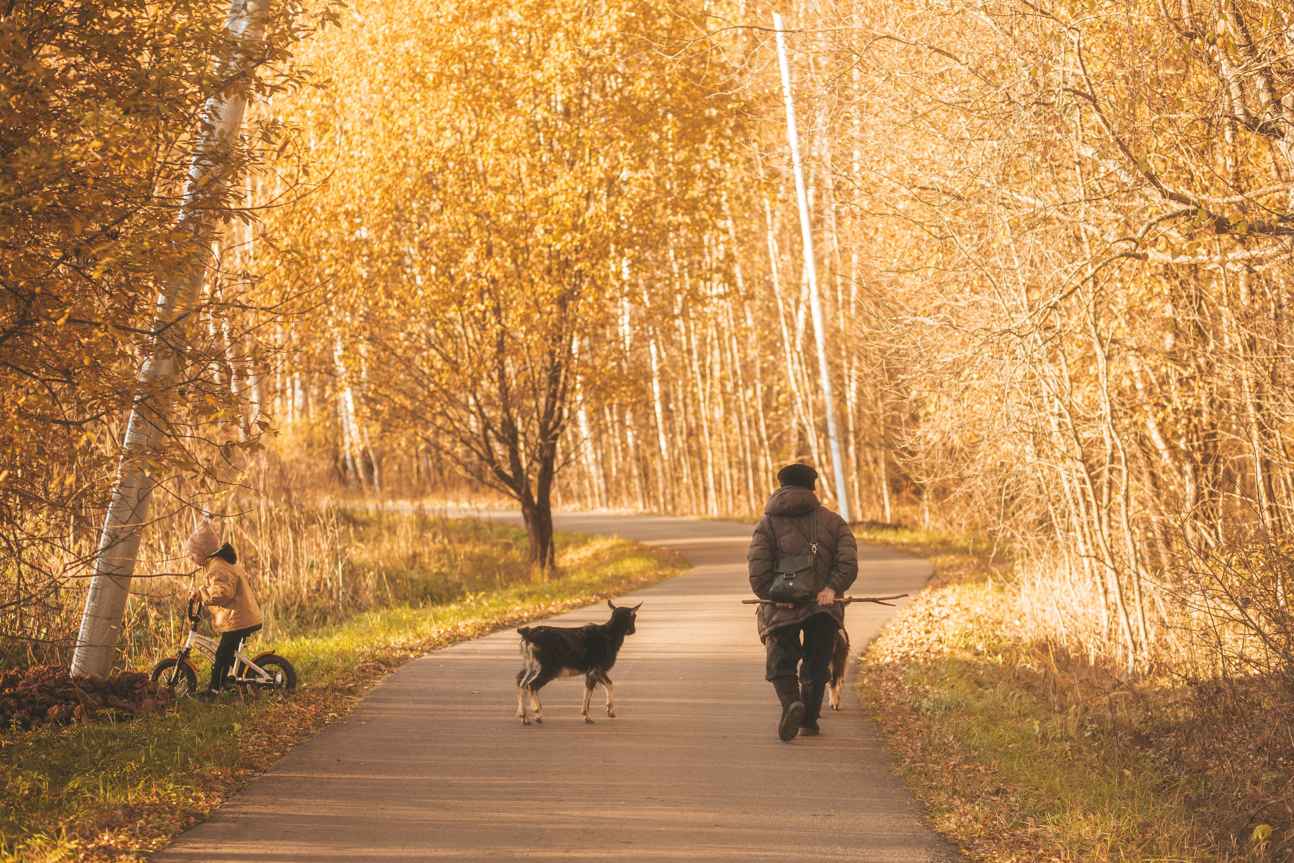 Прогулка по деревне. Фотограф — художник в Москве Васильева Юлия