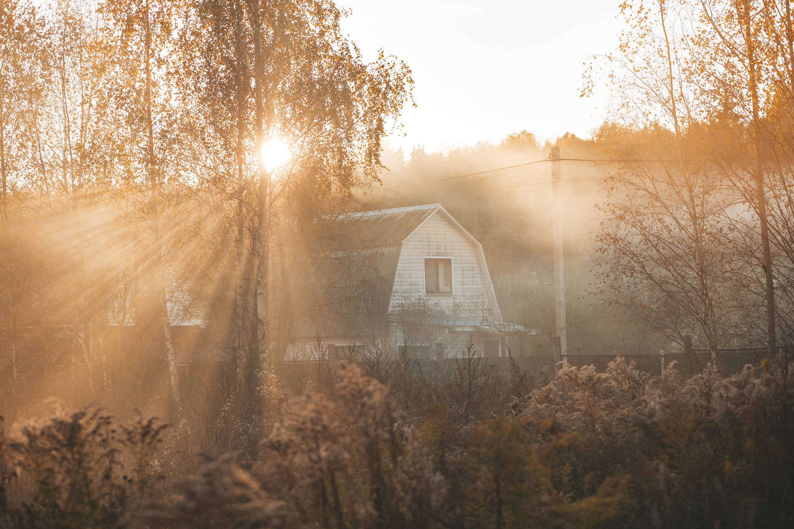 Прогулка по деревне. Фотограф — художник в Москве Васильева Юлия