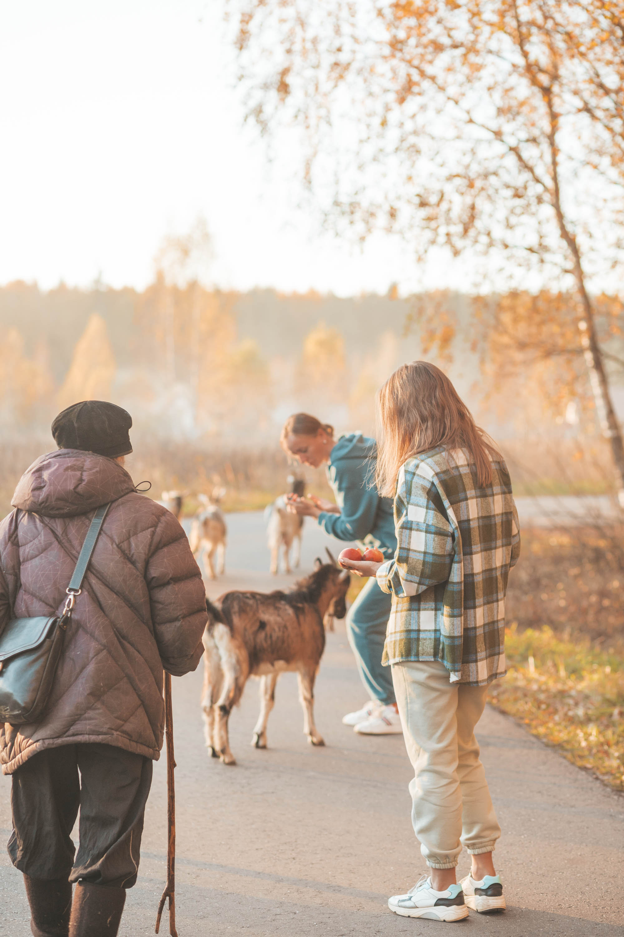 Прогулка по деревне. Фотограф — художник в Москве Васильева Юлия