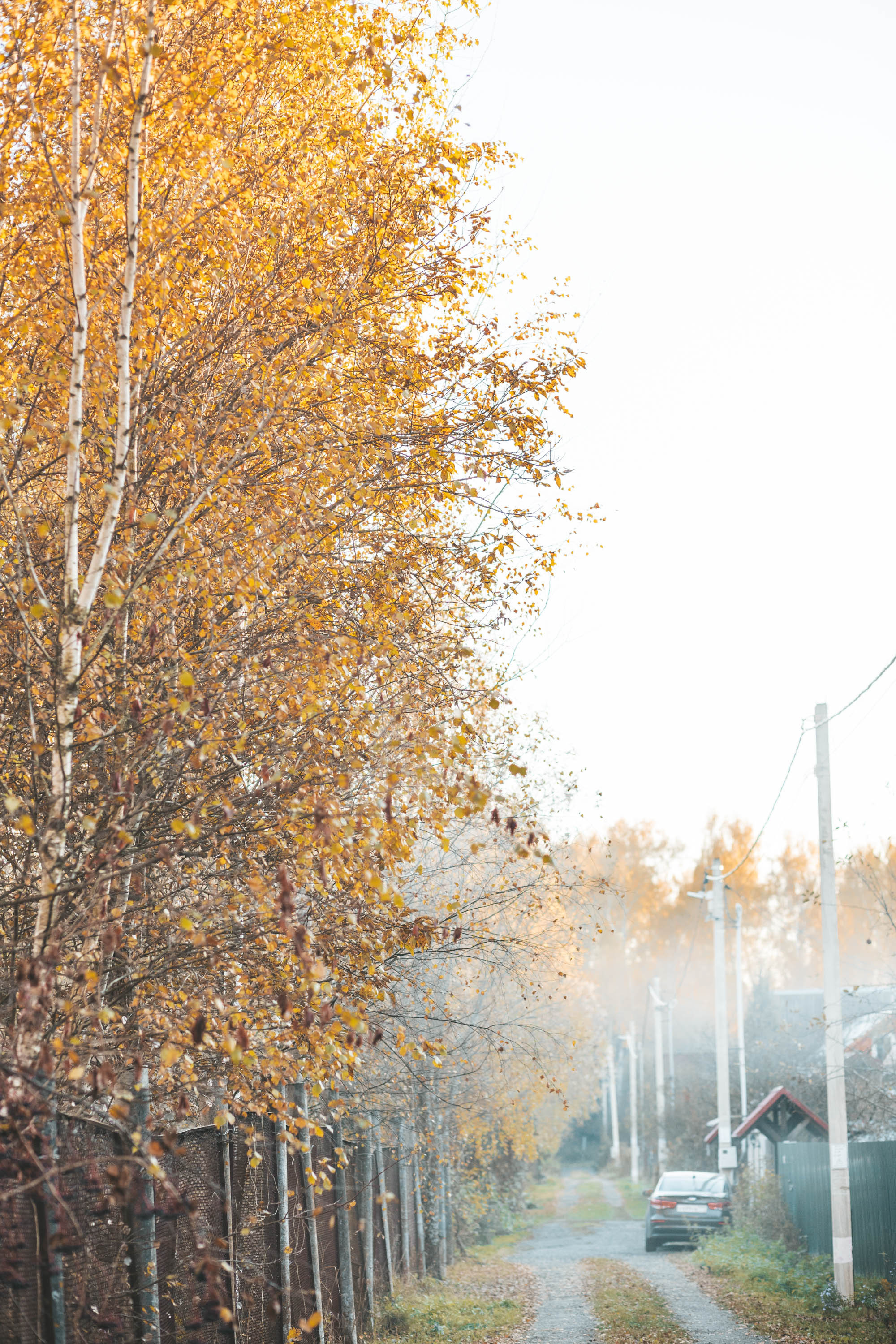 Прогулка по деревне. Фотограф — художник в Москве Васильева Юлия