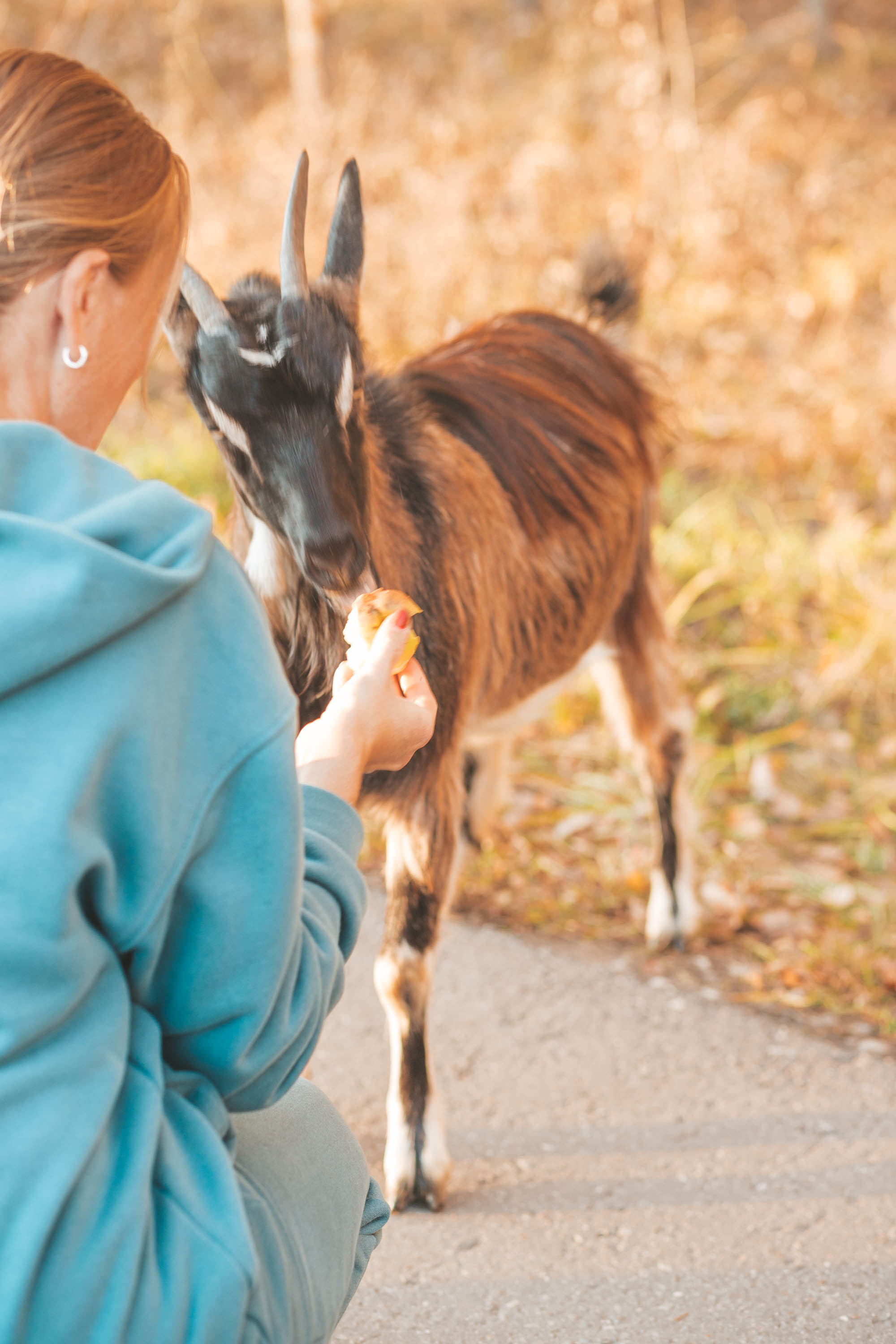 Прогулка по деревне. Фотограф — художник в Москве Васильева Юлия