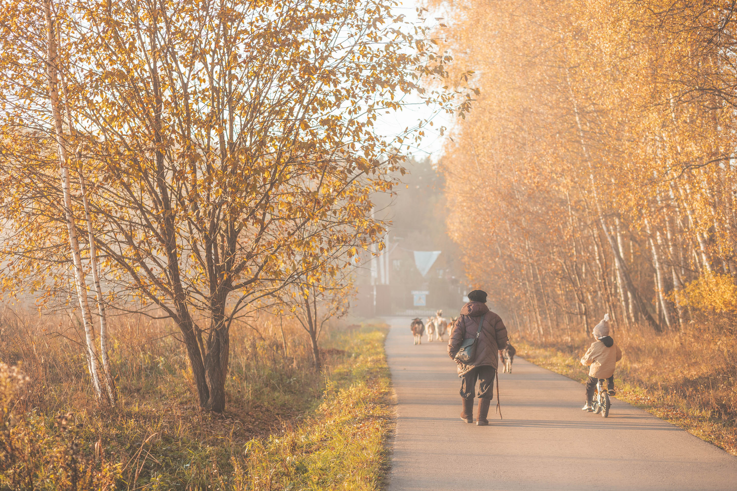 Прогулка по деревне. Фотограф — художник в Москве Васильева Юлия