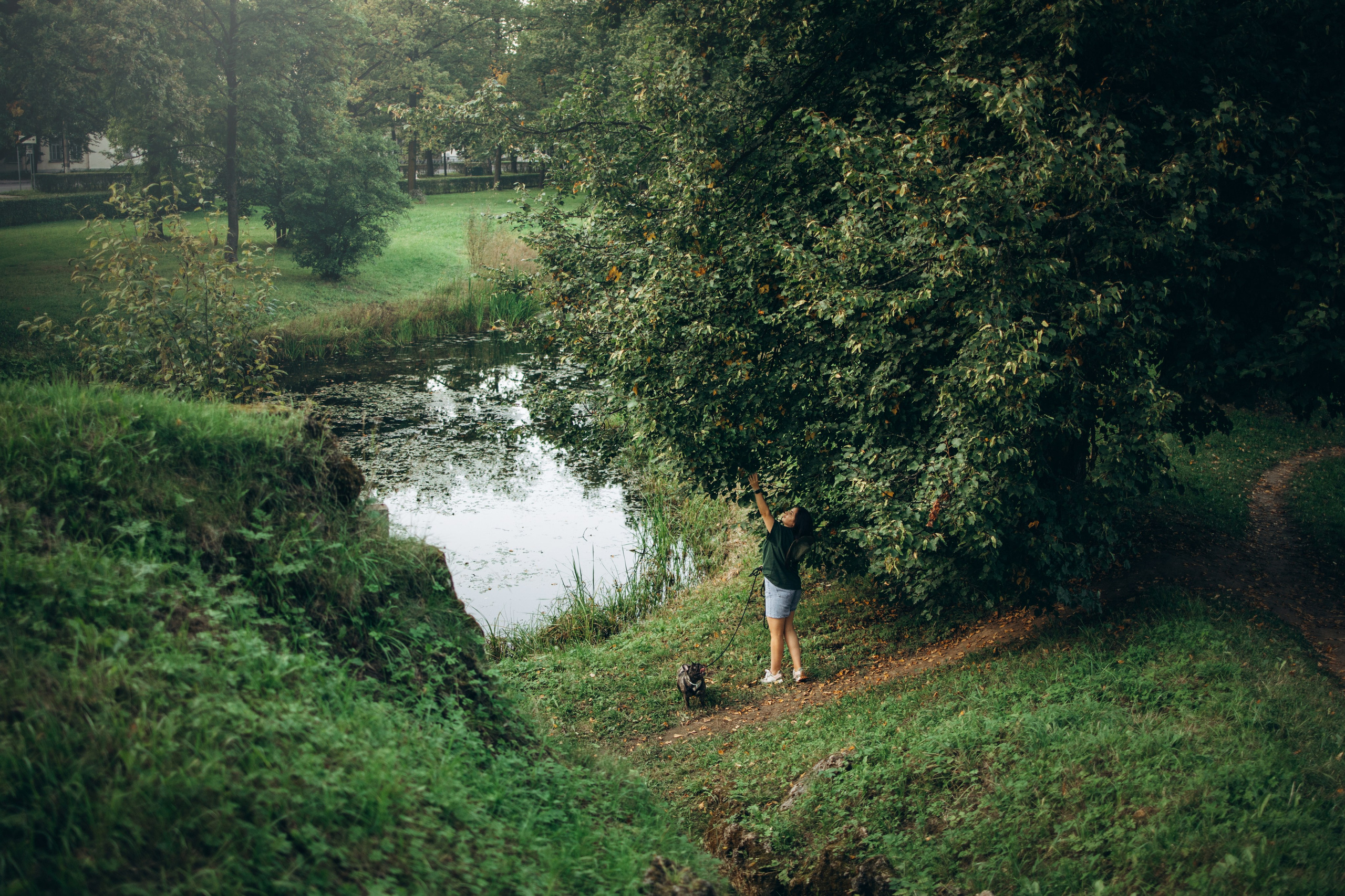 Олеся и Луи. Фотограф — Анималист | Санкт-Петербург