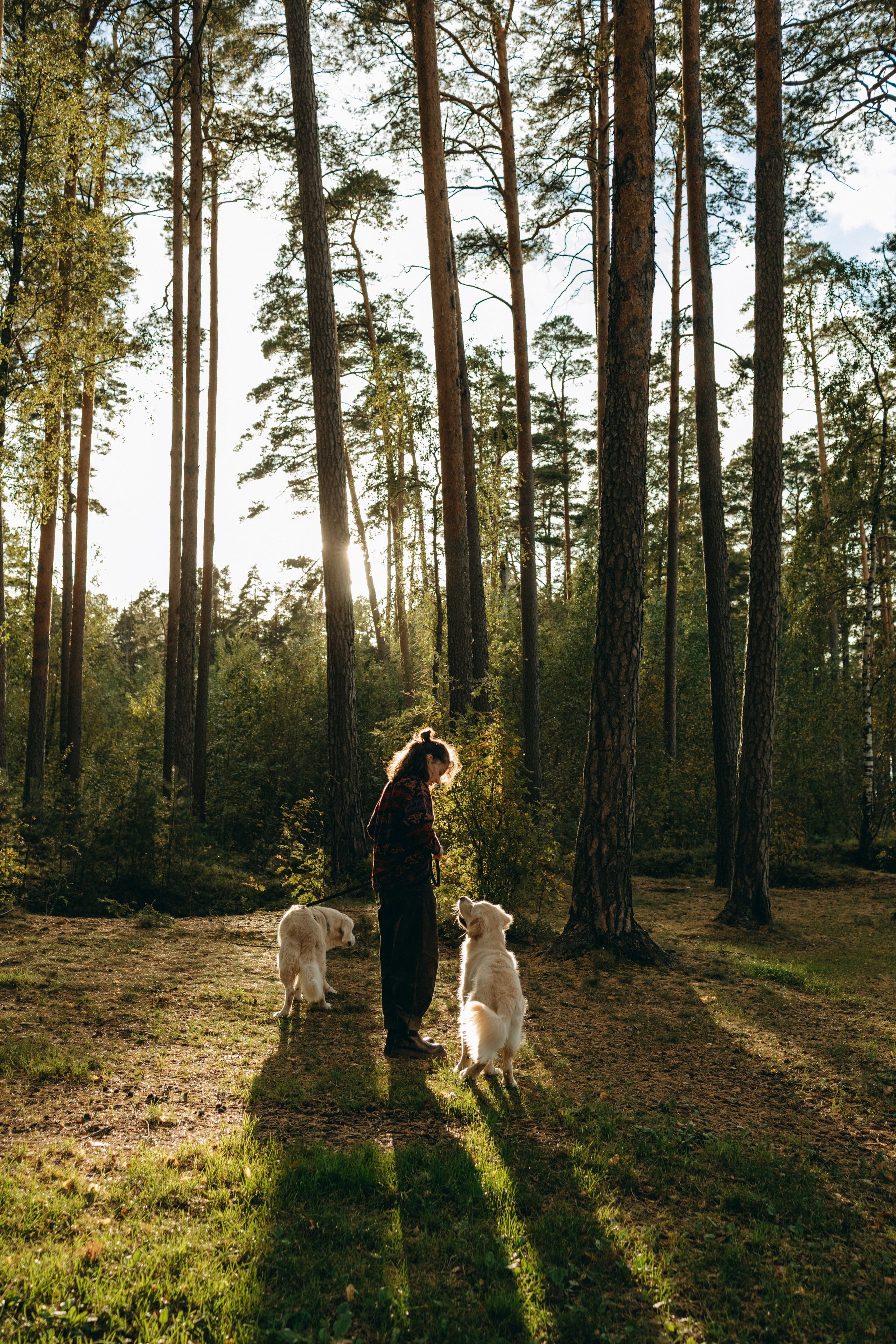 Прогулка Насти с Арчи и Арагоном. Фотограф-анималист в Санкт-Петеребурге Титова Алиса