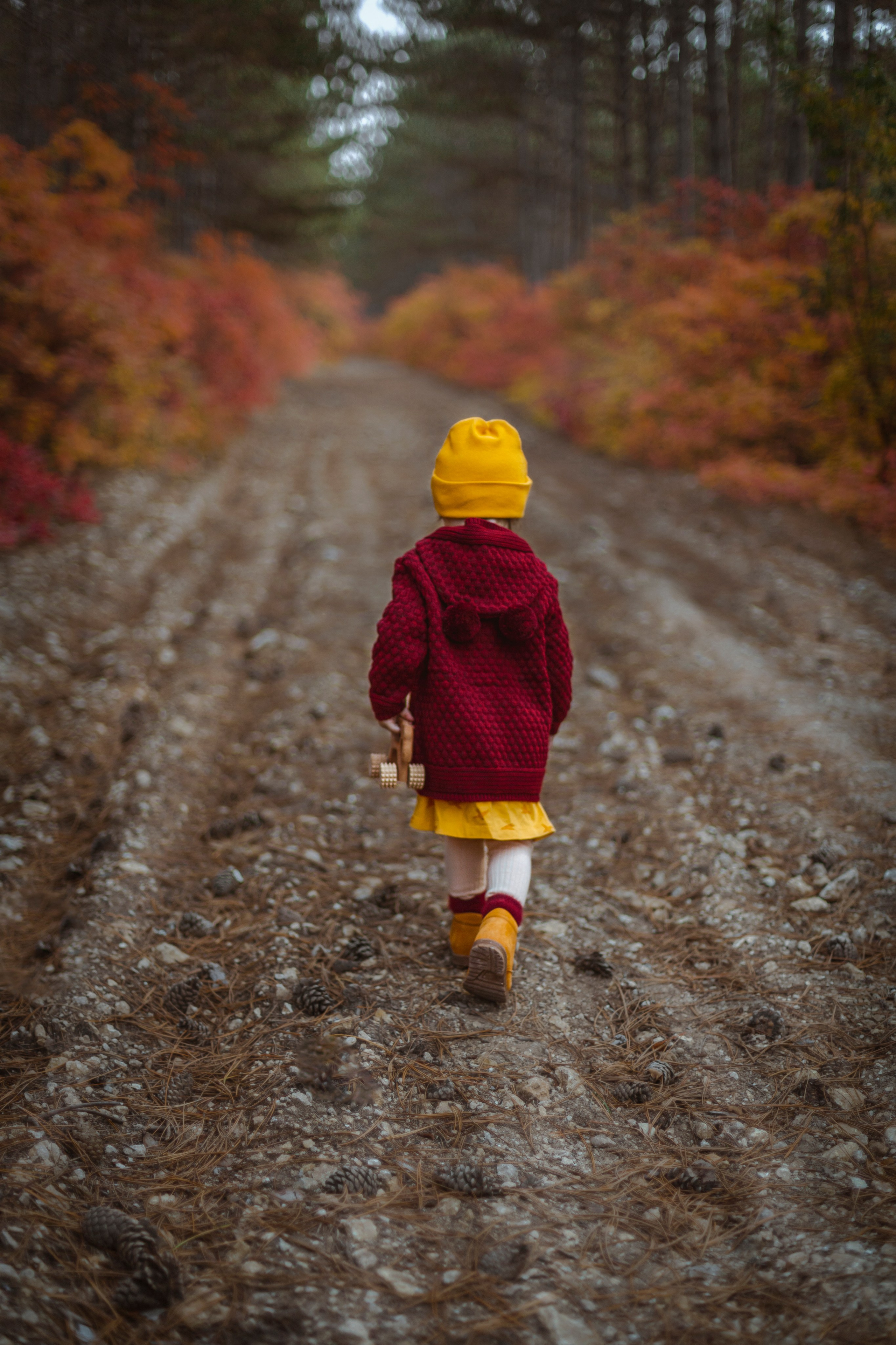 ОСЕННИЙ ЛЕС. Семейный и детский фотограф в Крыму Екатерина Швец