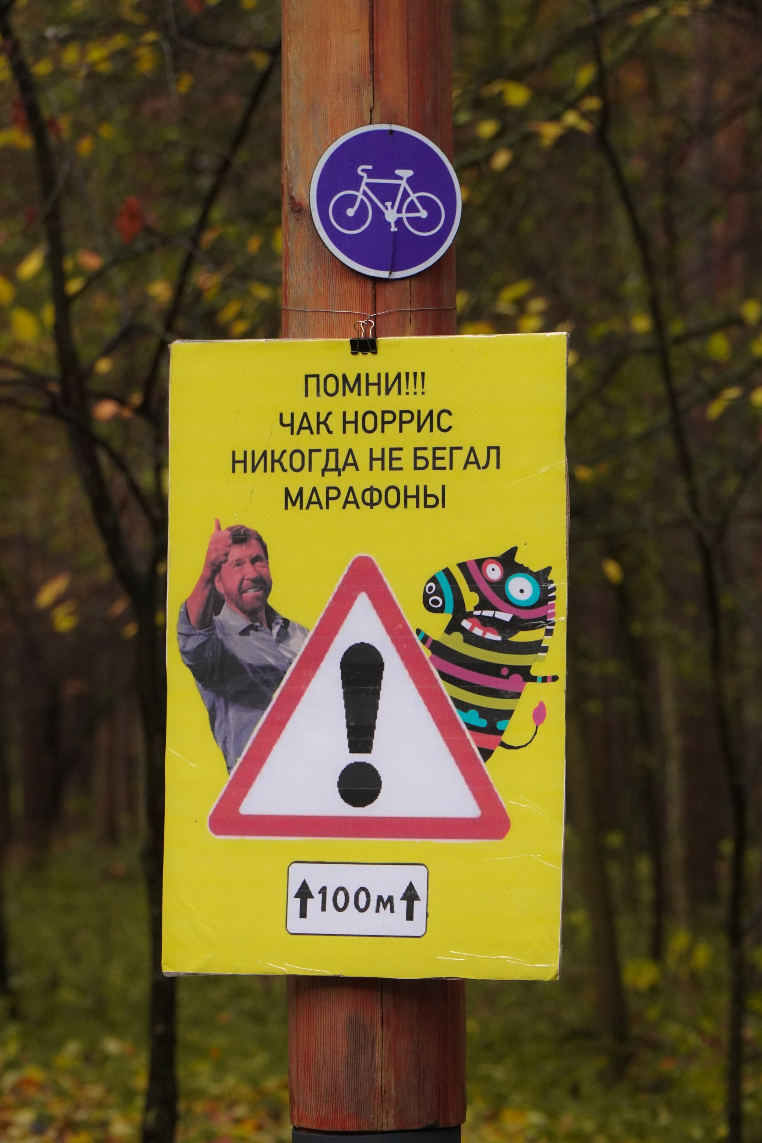 5 вёрст Томилинский 3 года 18 октября 2025. Роман Капилюшов. Бег. Фото. Видео. г. Люберцы