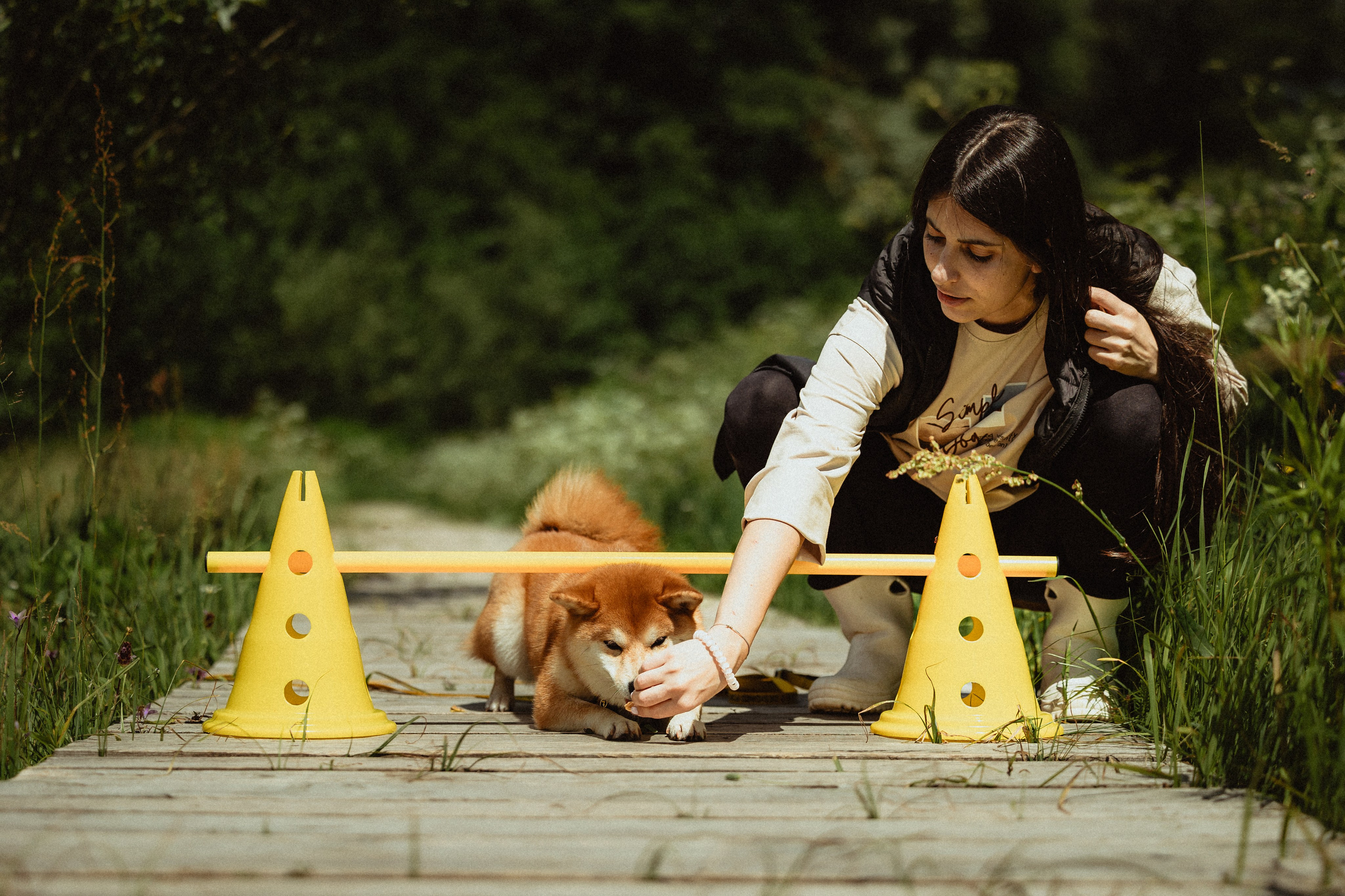 Выездной дог-тренинг от школы «Шерсть имею»