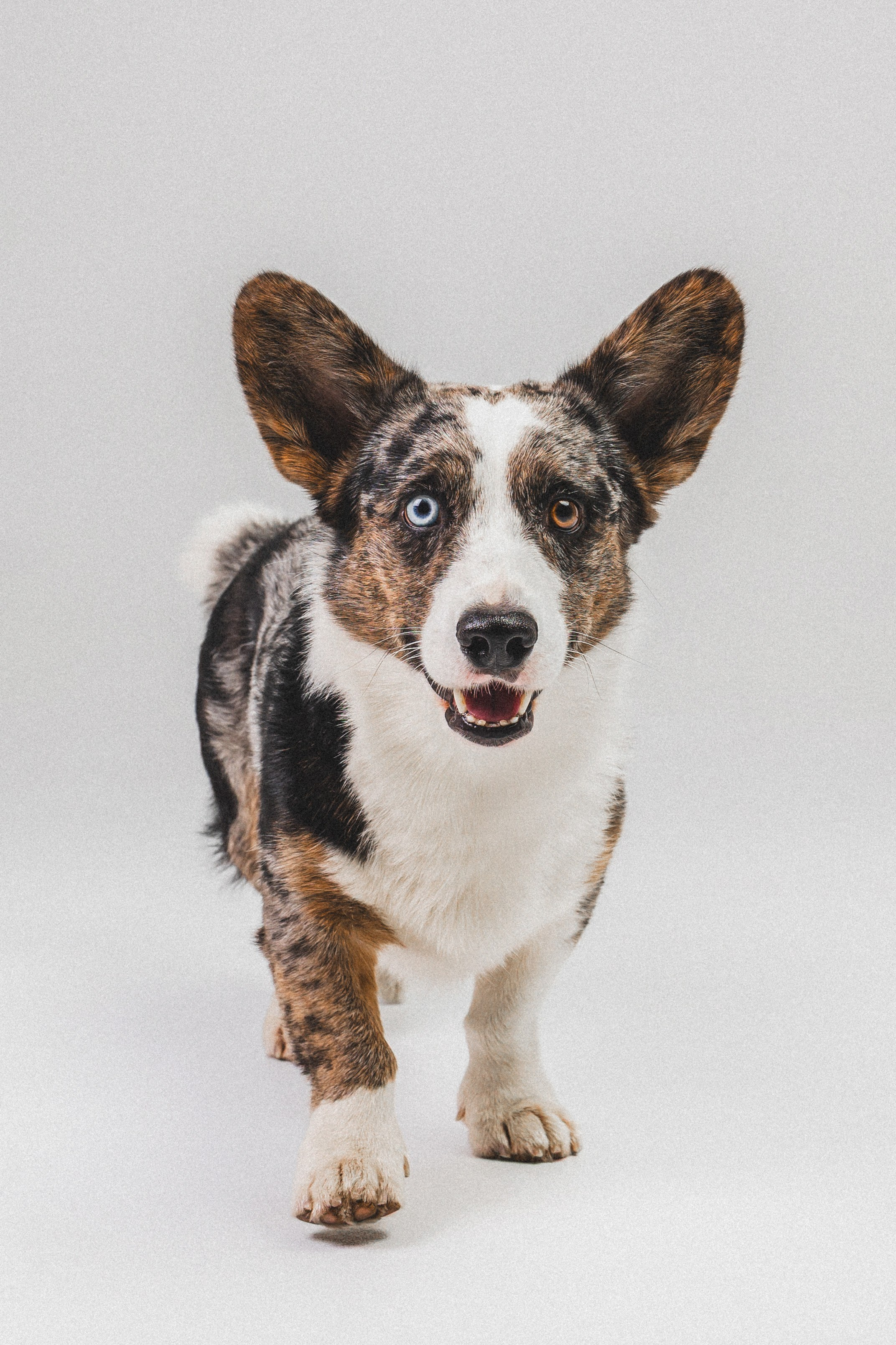 Анатолий и Рагнар