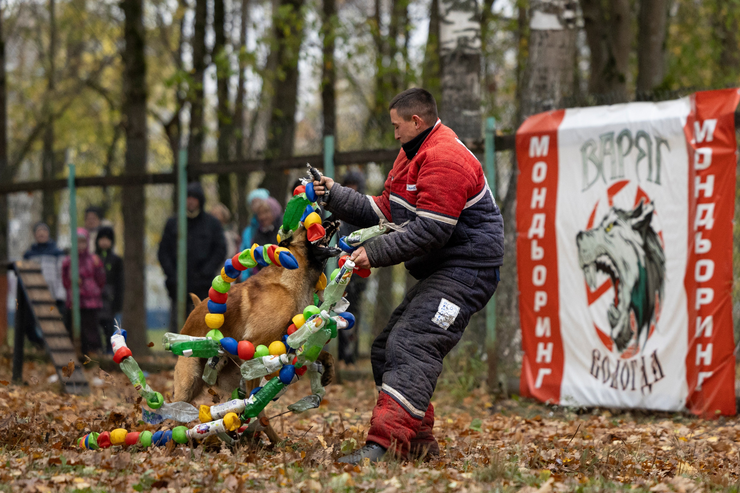 Соревнования по Мондьорингу г. Вологда. Фотограф-анималист Анна Маринич