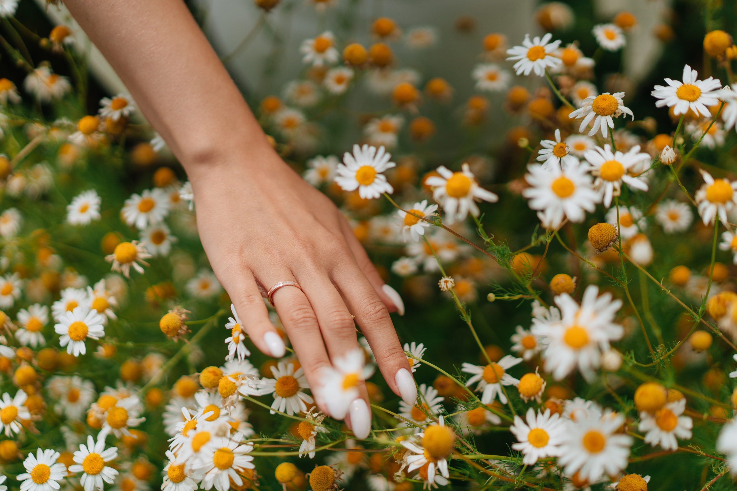 Владимир и Алина. Фотосессия. Фотограф Уфа Екатерина Пашина
