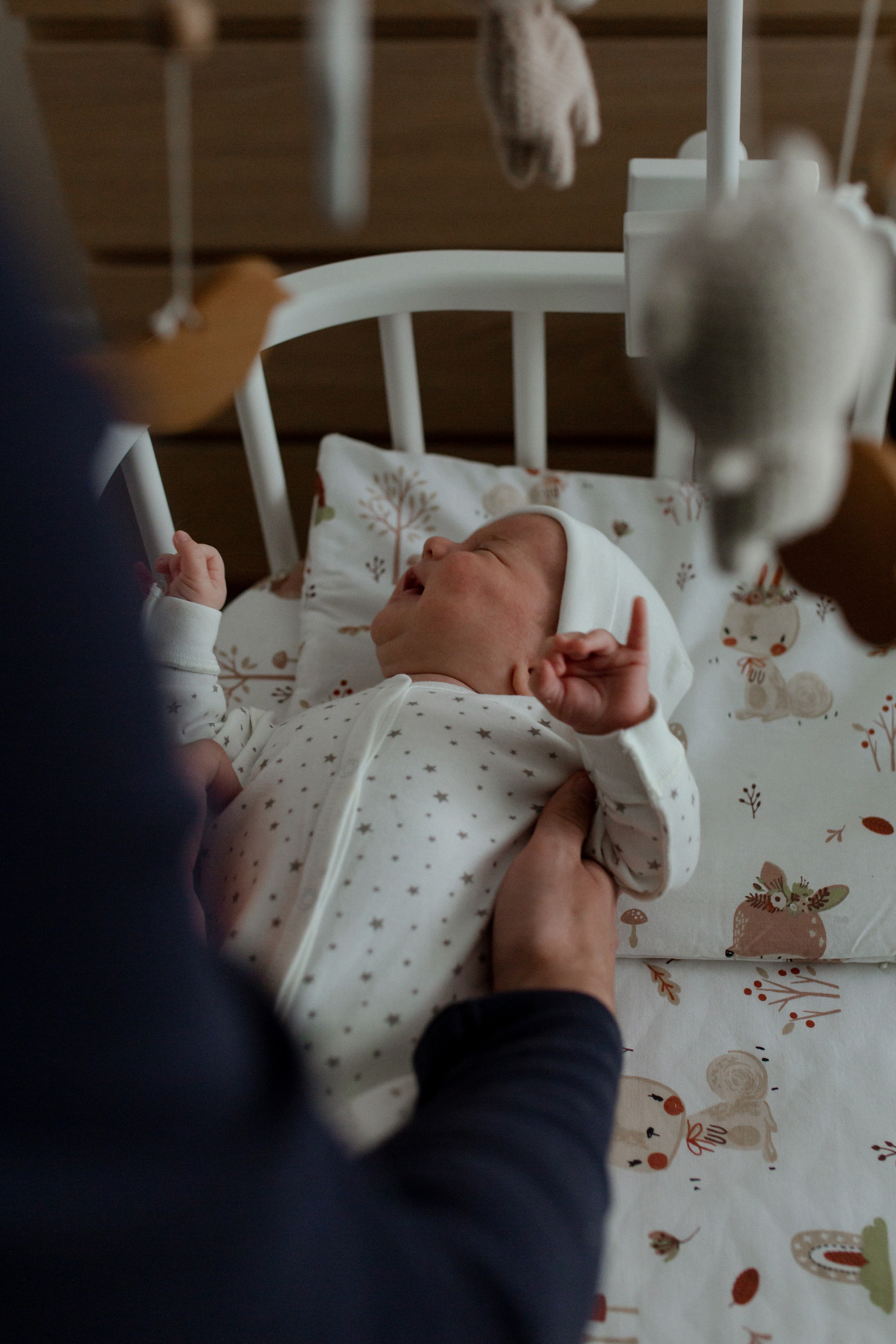 Алина, Никита и Родион. Главная