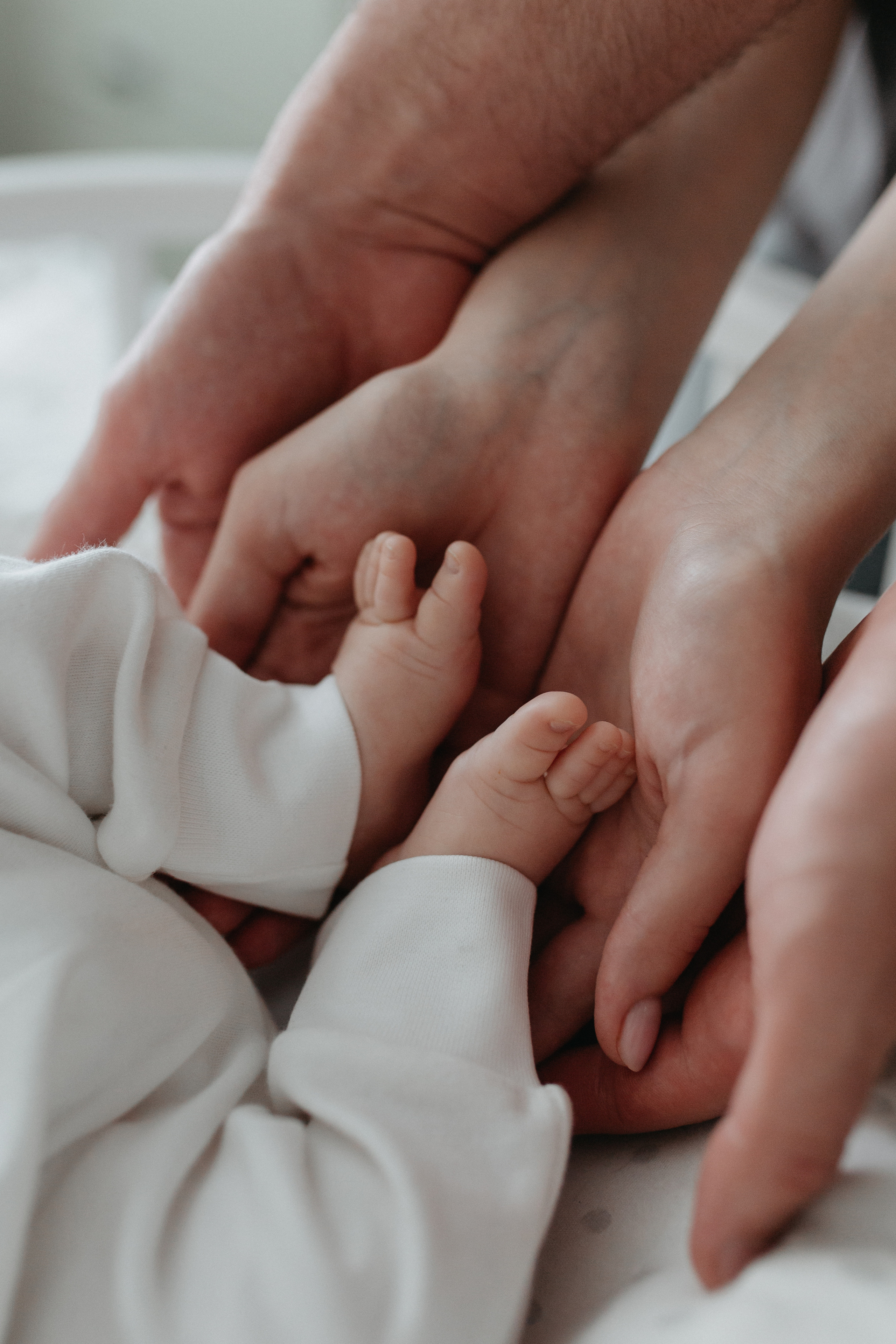 Алина, Никита и Родион. Главная